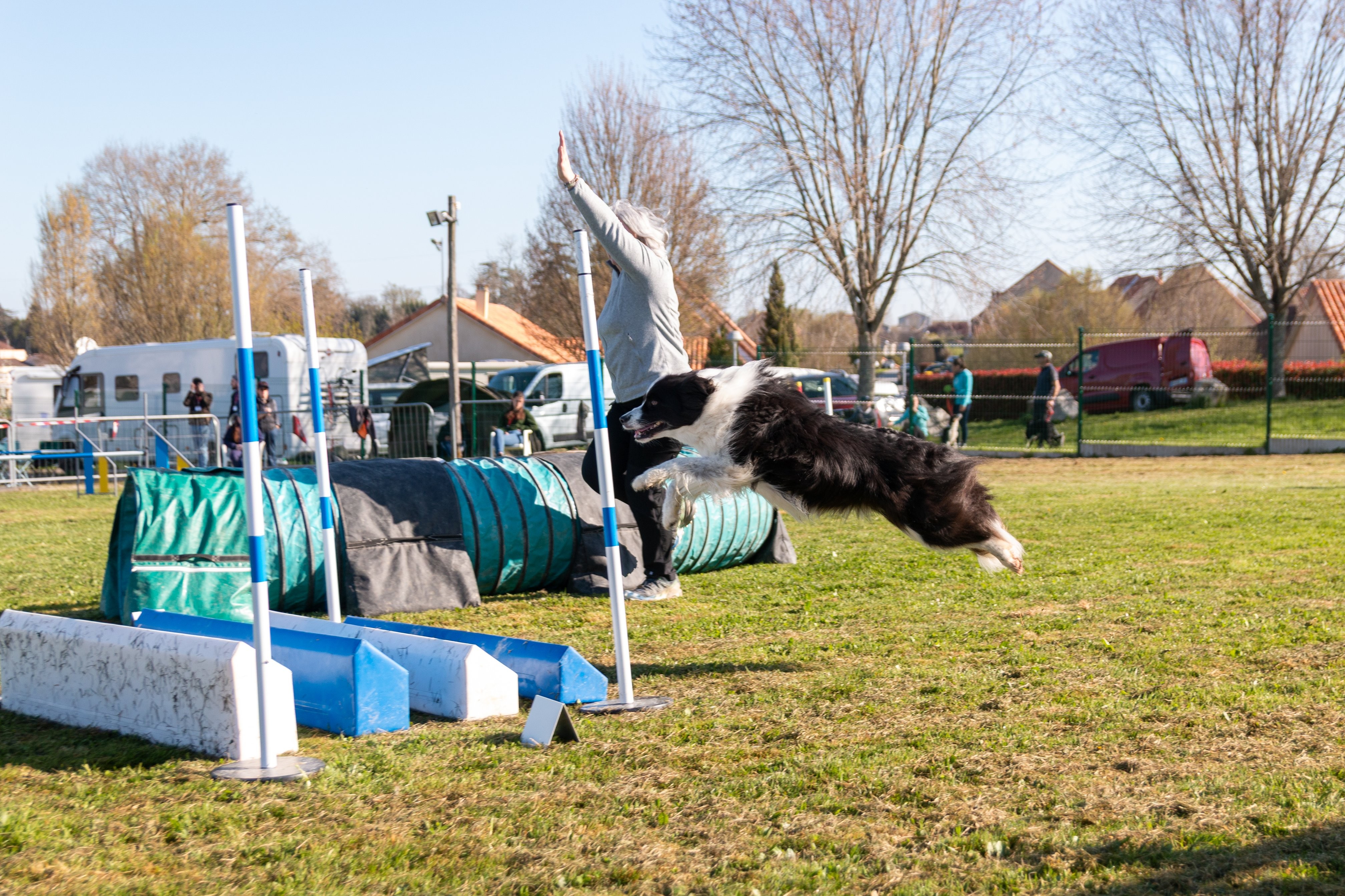 Agility grade 2 etoile 0187