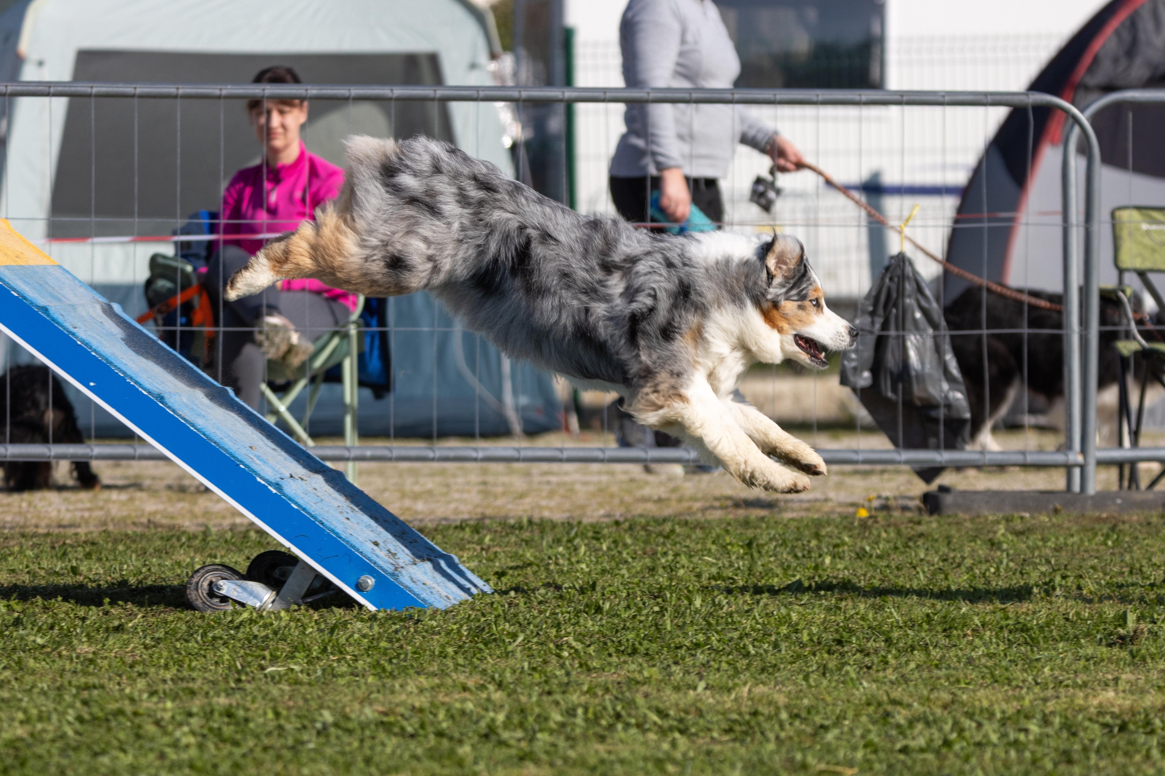 Agility grade 2 etoile 0189