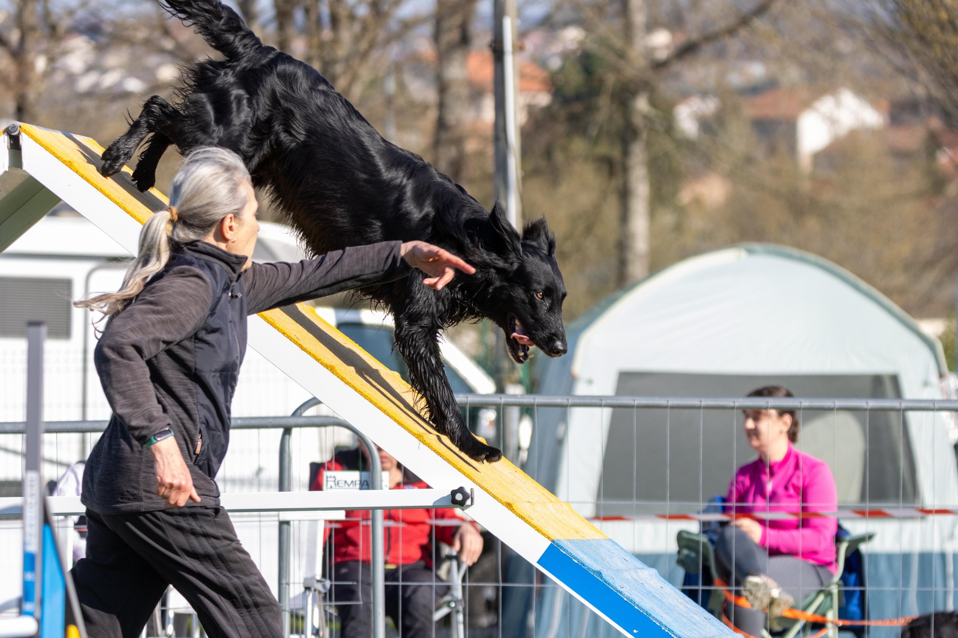 Agility grade 2 etoile 0194