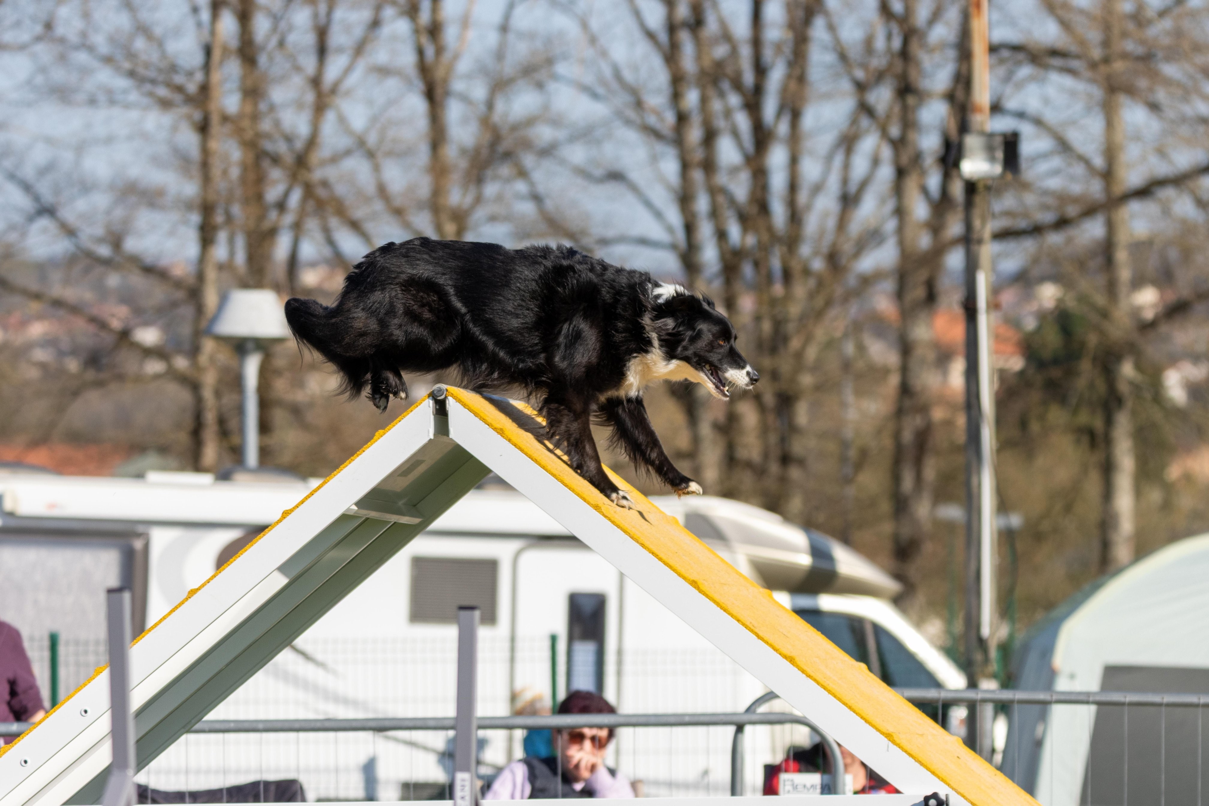 Agility grade 2 etoile 0196