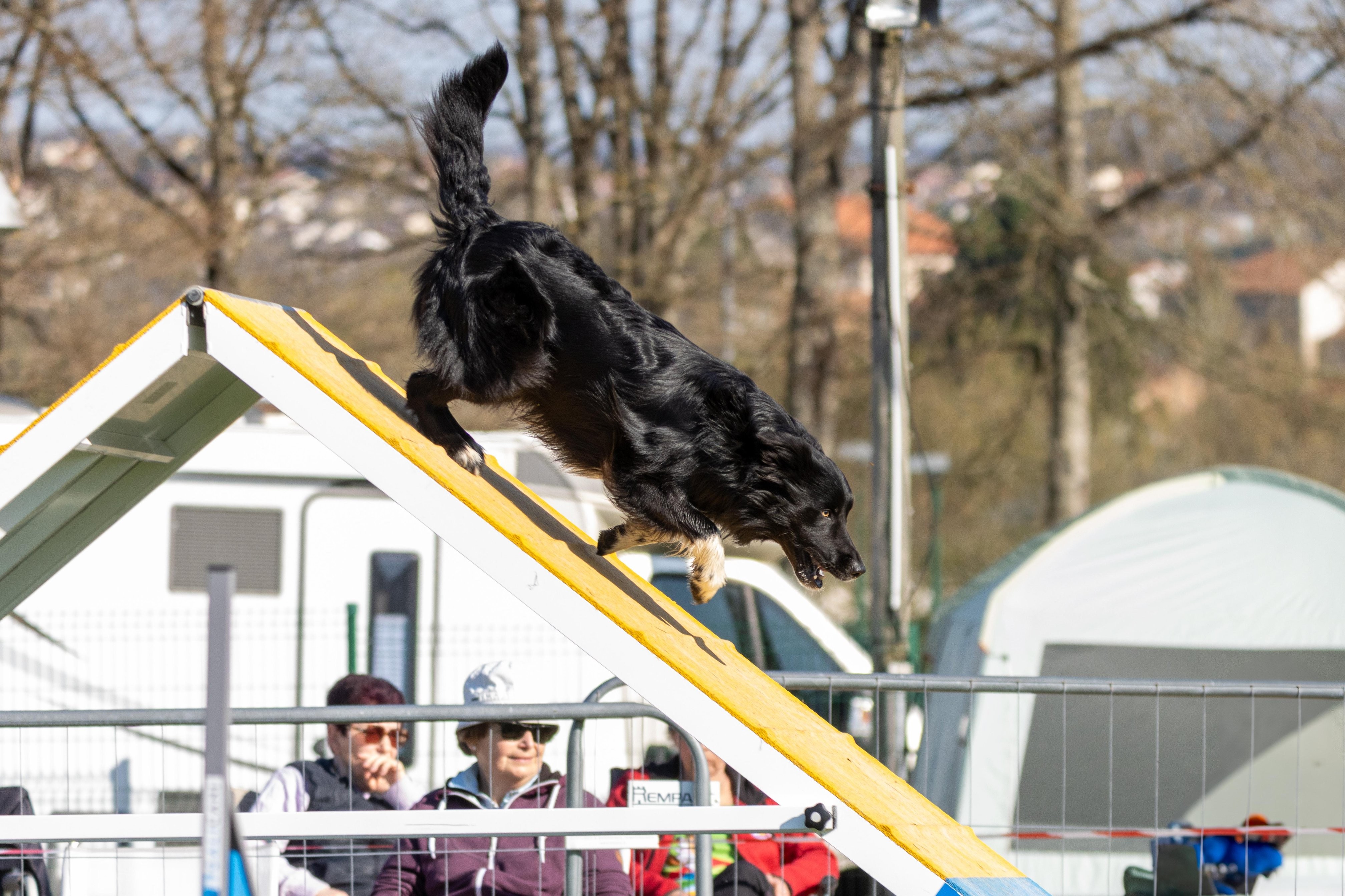 Agility grade 2 etoile 0198