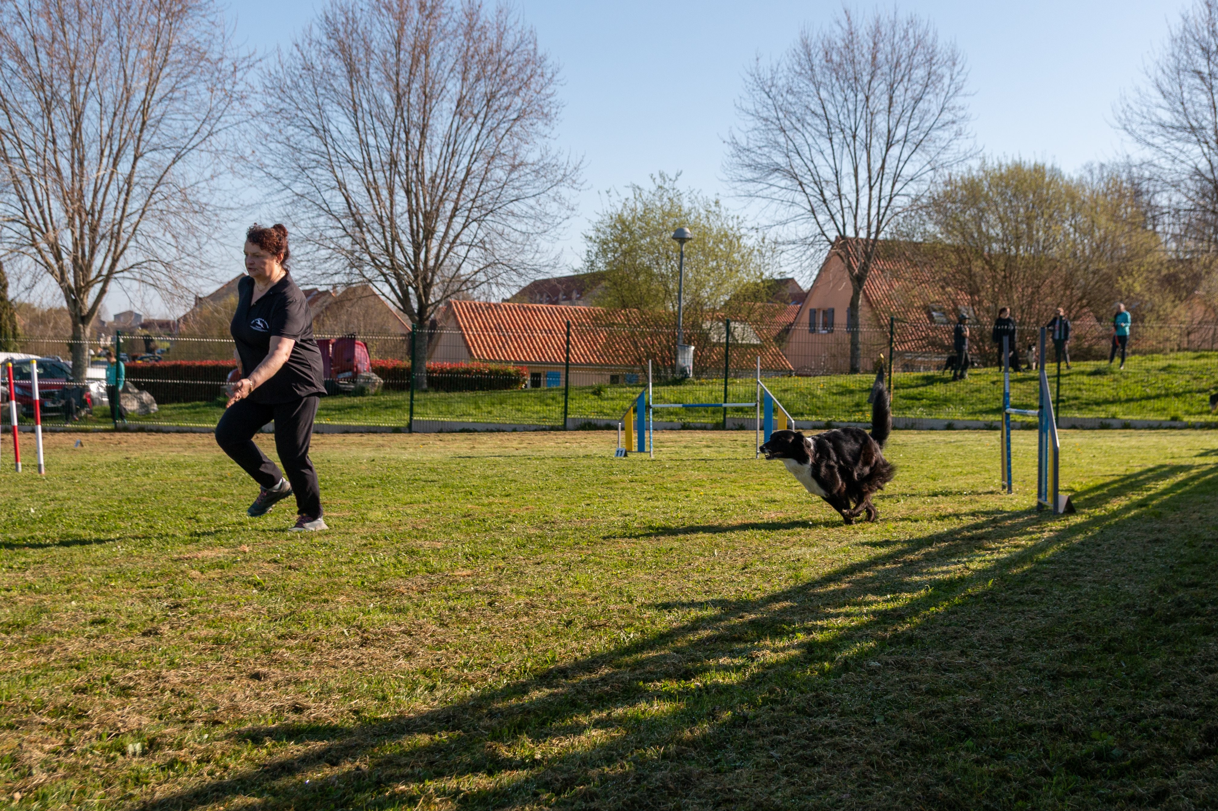 Agility grade 2 etoile 0200