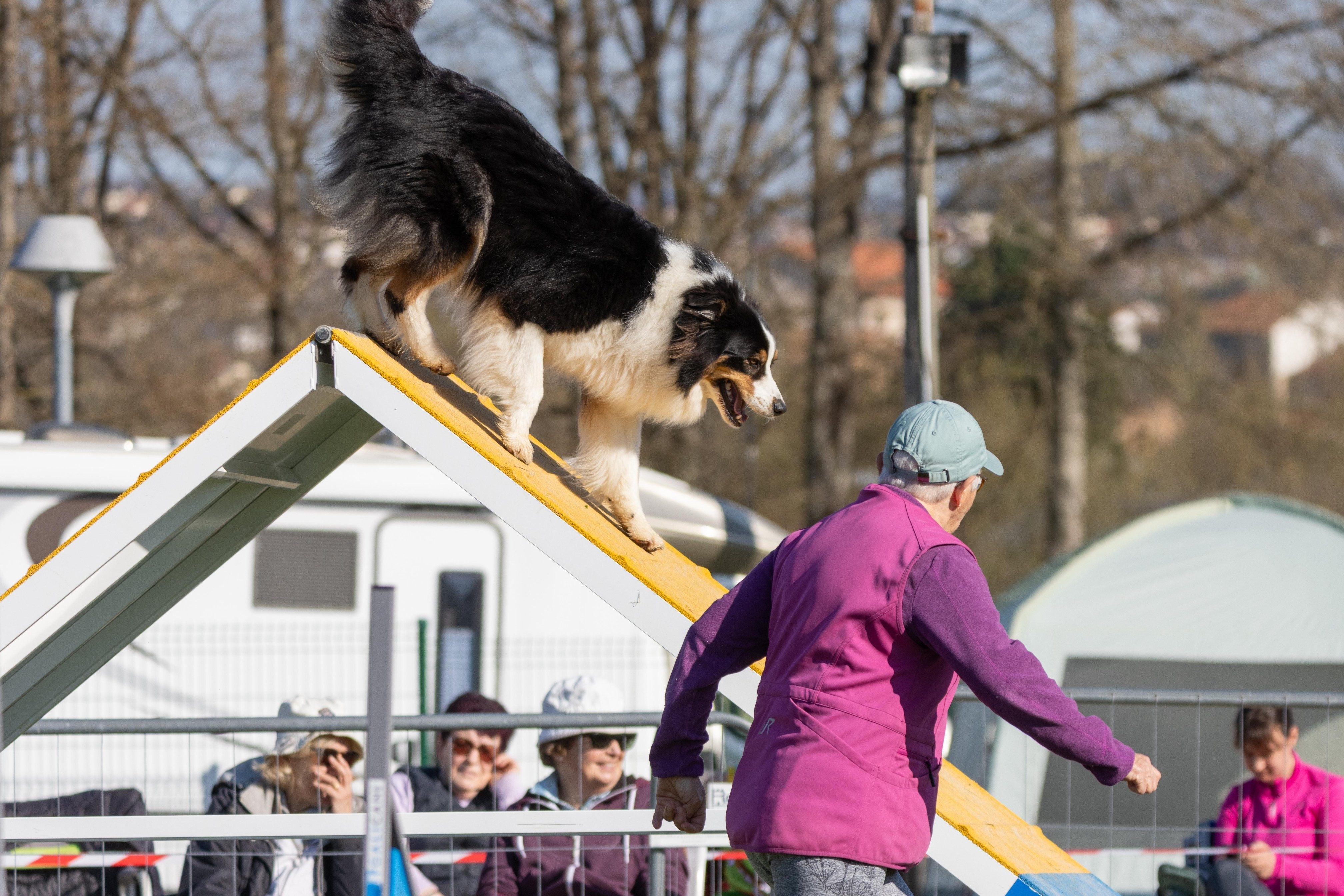Agility grade 2 etoile 0206