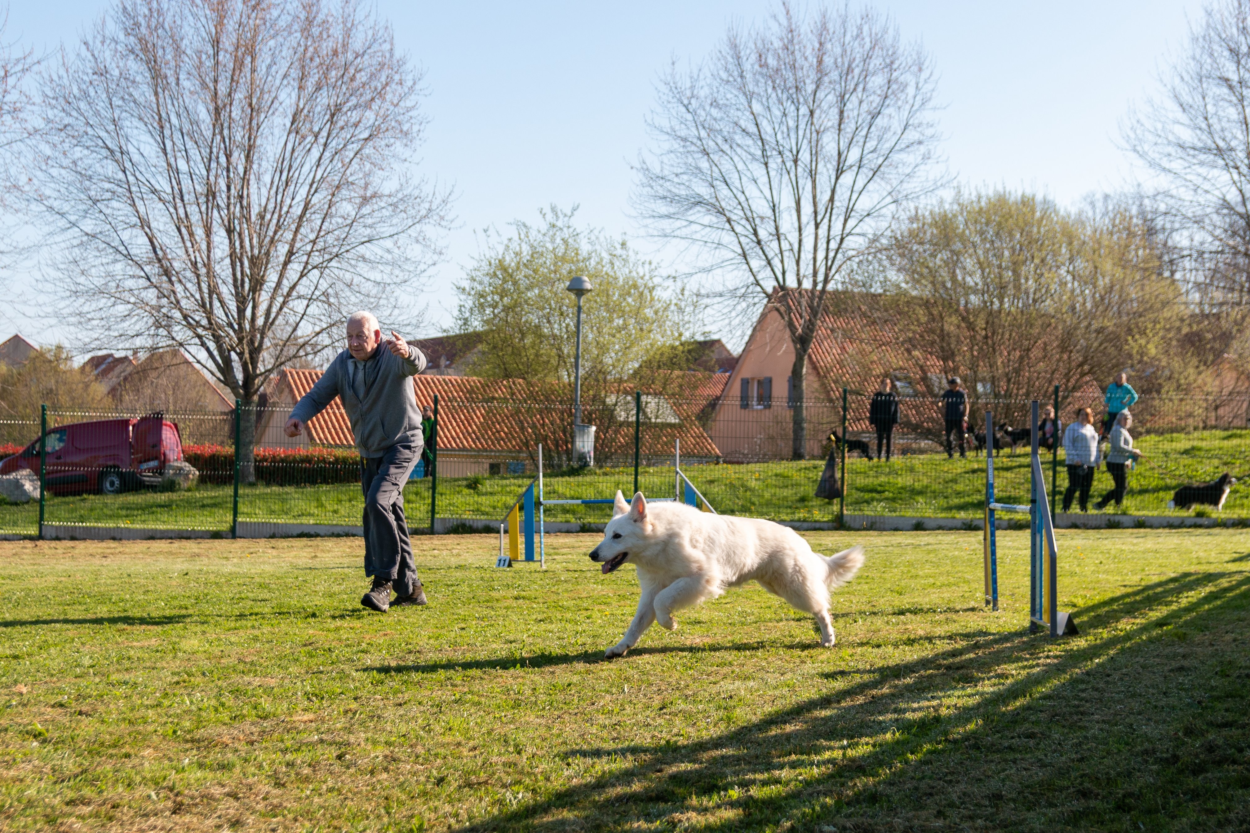 Agility grade 2 etoile 0207