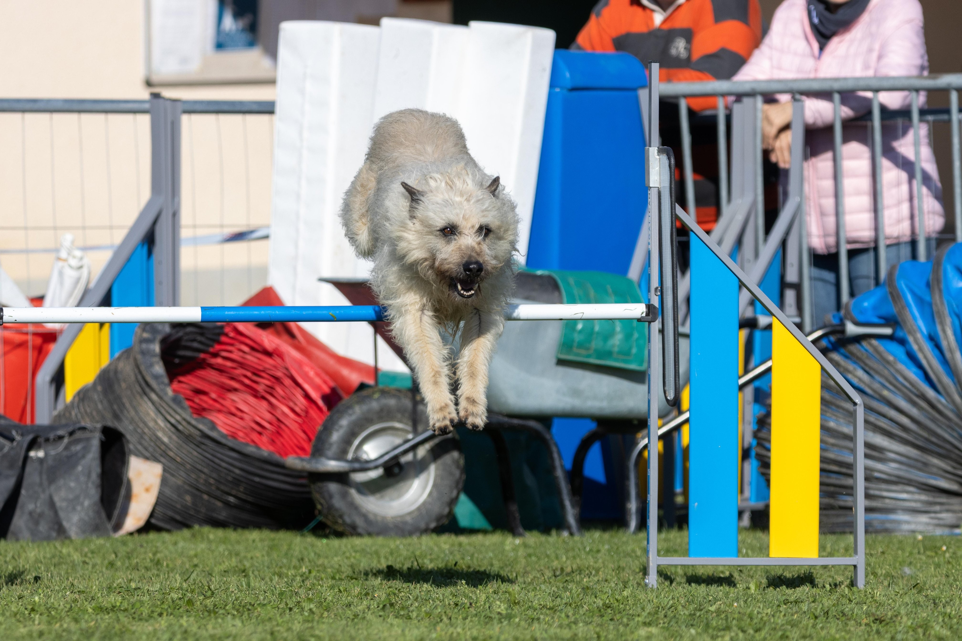 Agility grade 2 etoile 0211