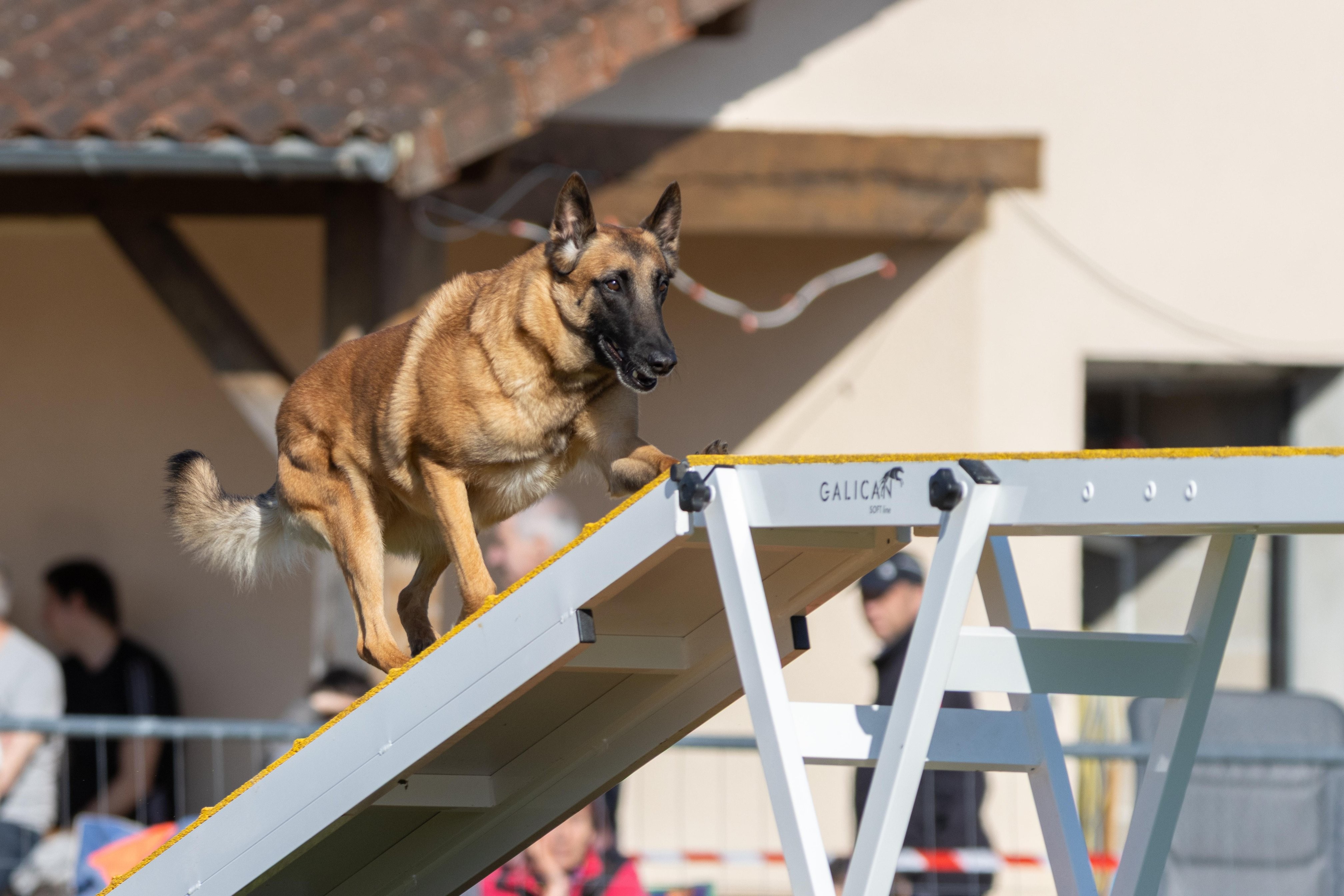 Agility grade 2 etoile 0214