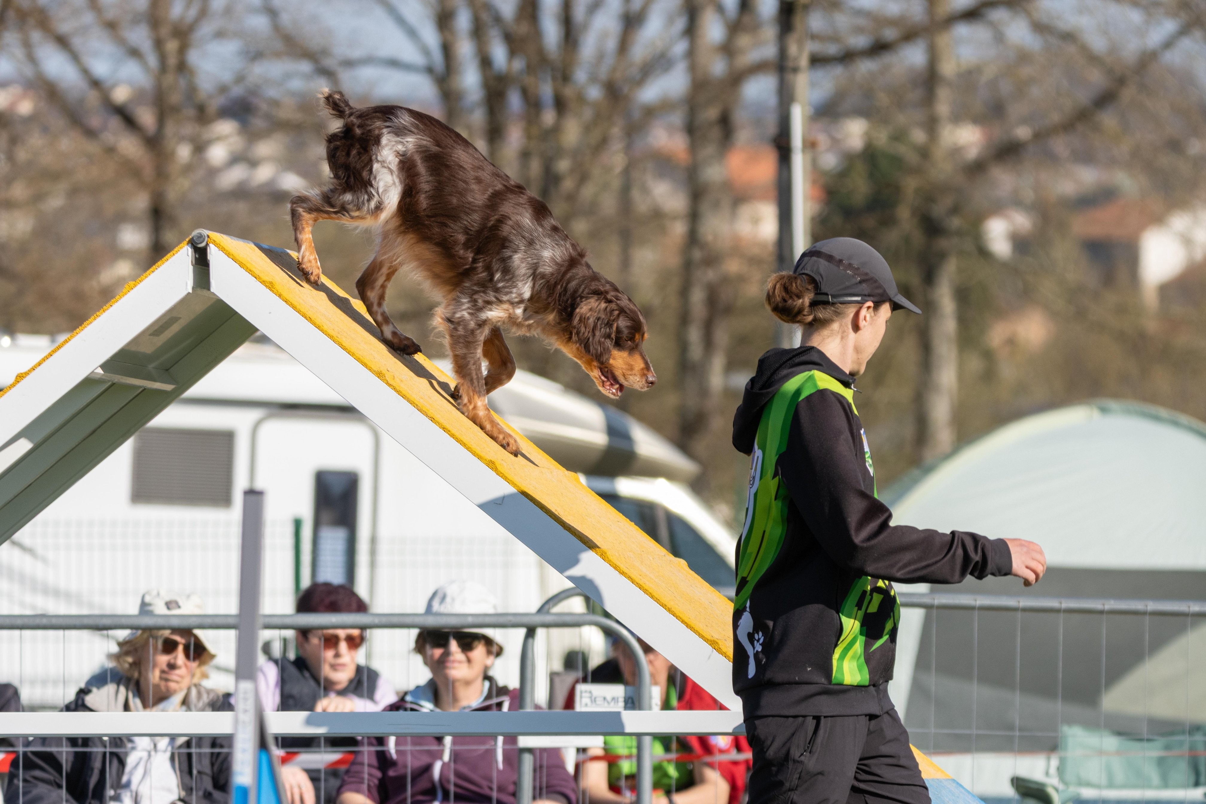 Agility grade 2 etoile 0219