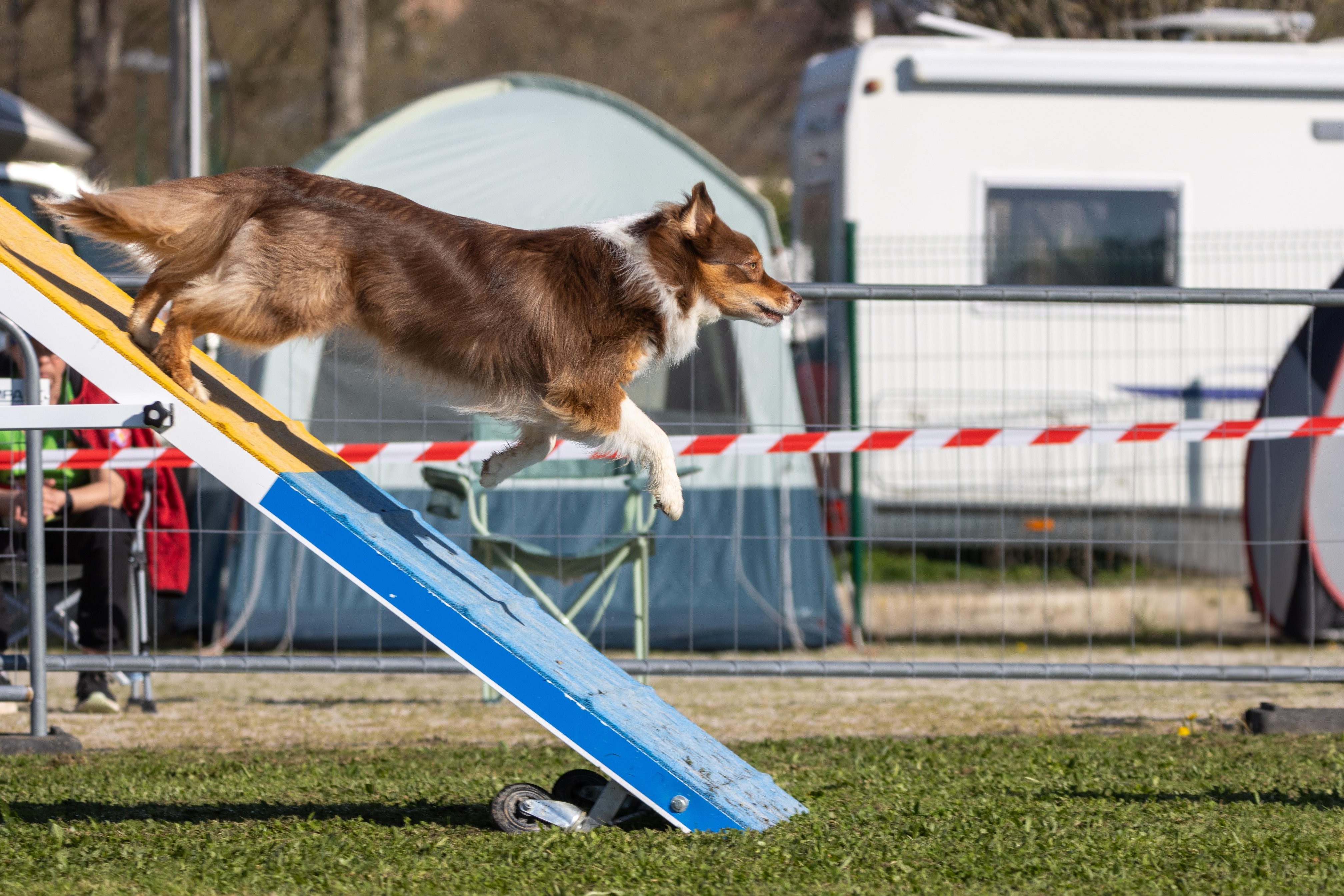 Agility grade 2 etoile 0222