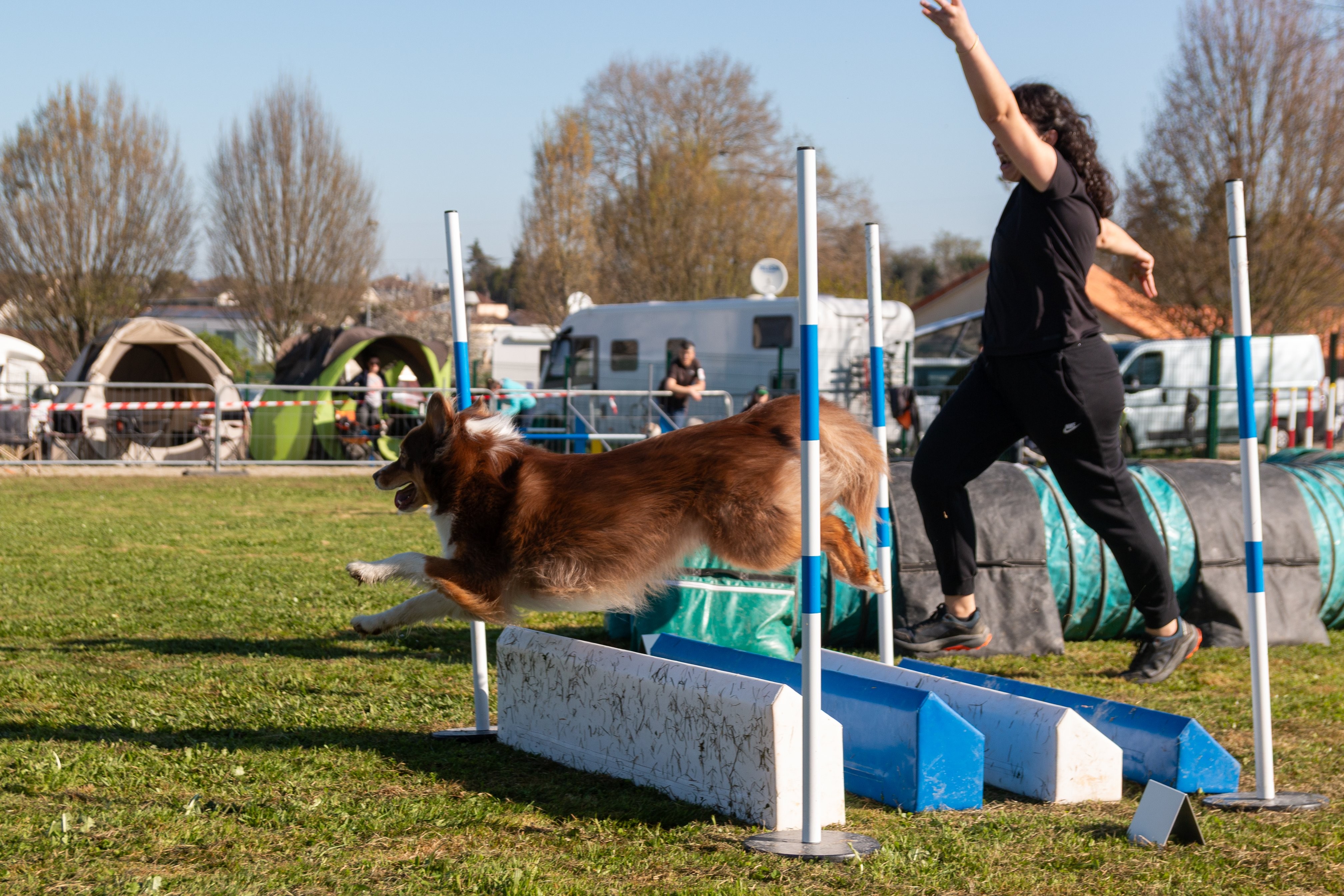 Agility grade 2 etoile 0228