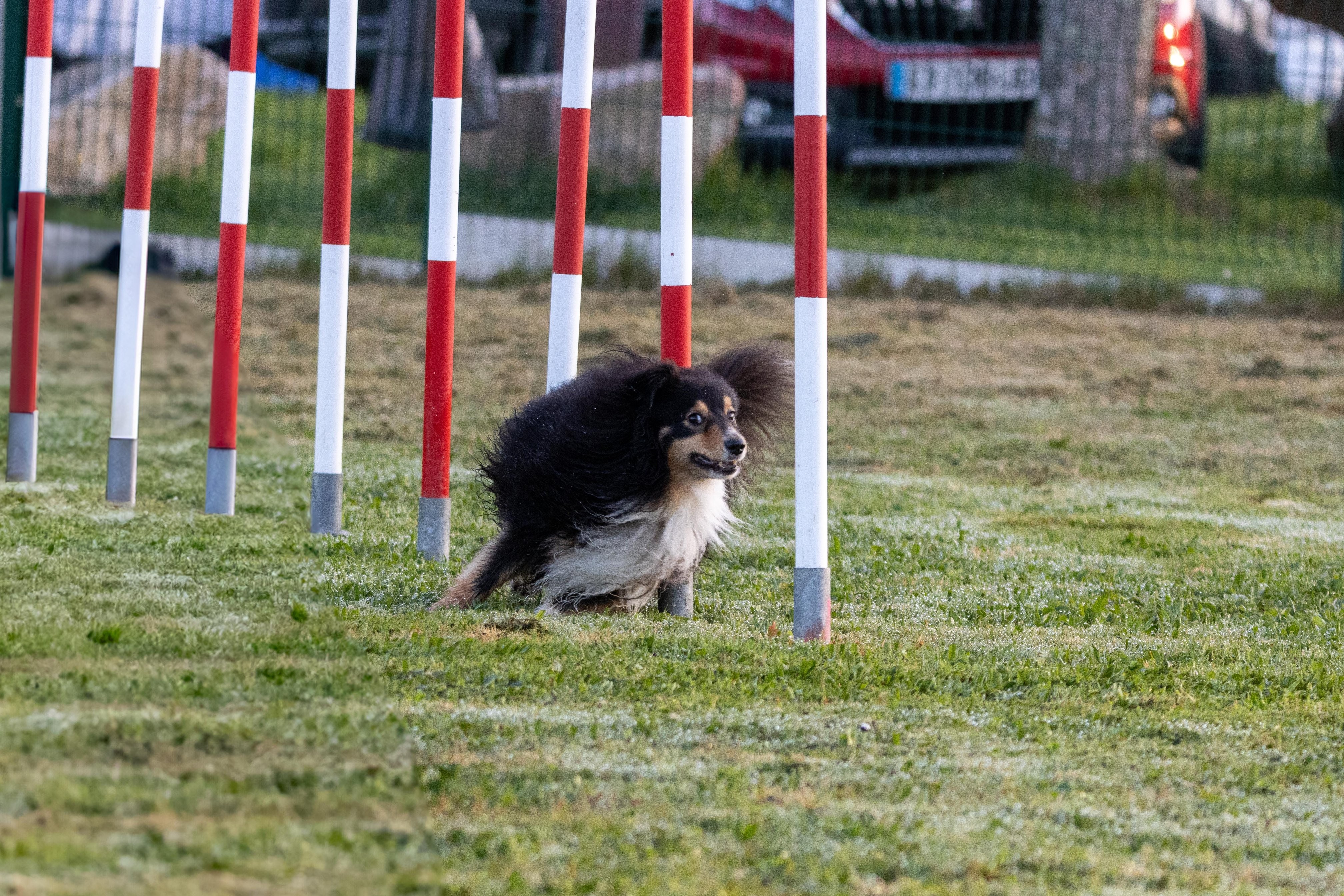 Agility grade 3 0001
