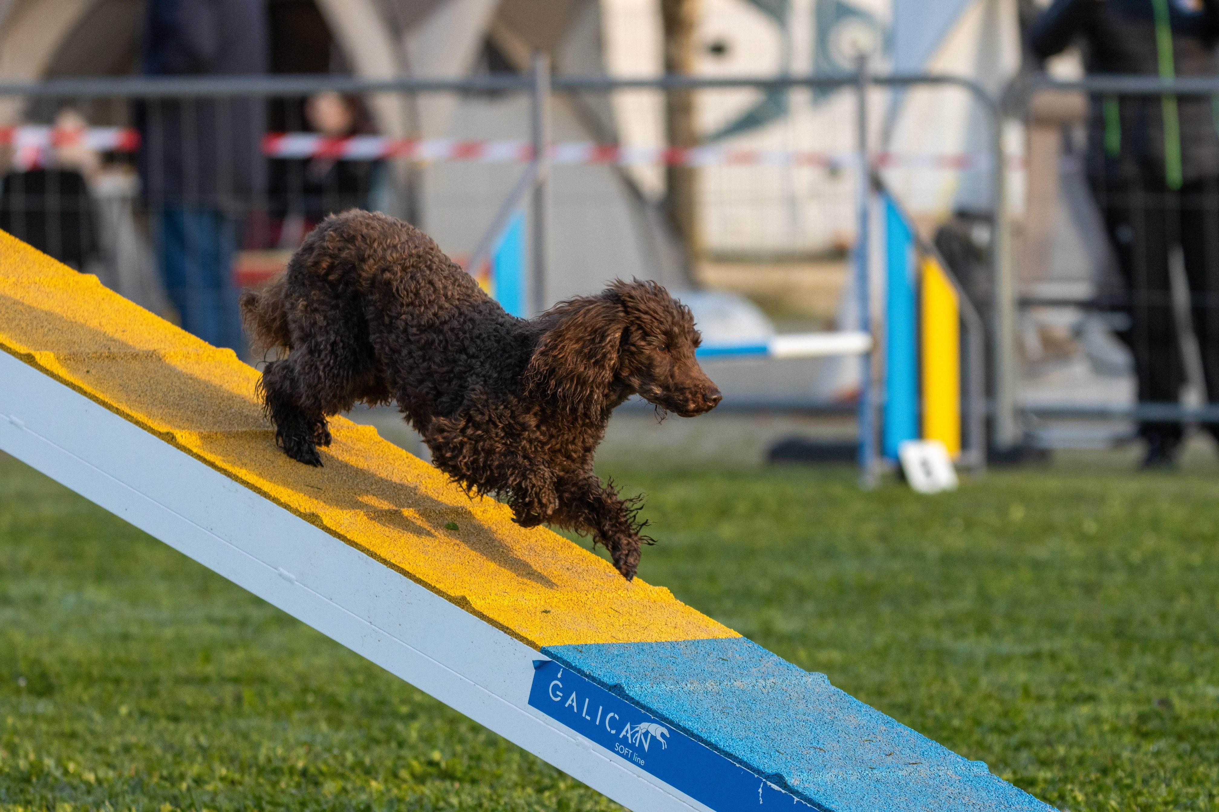Agility grade 3 0004