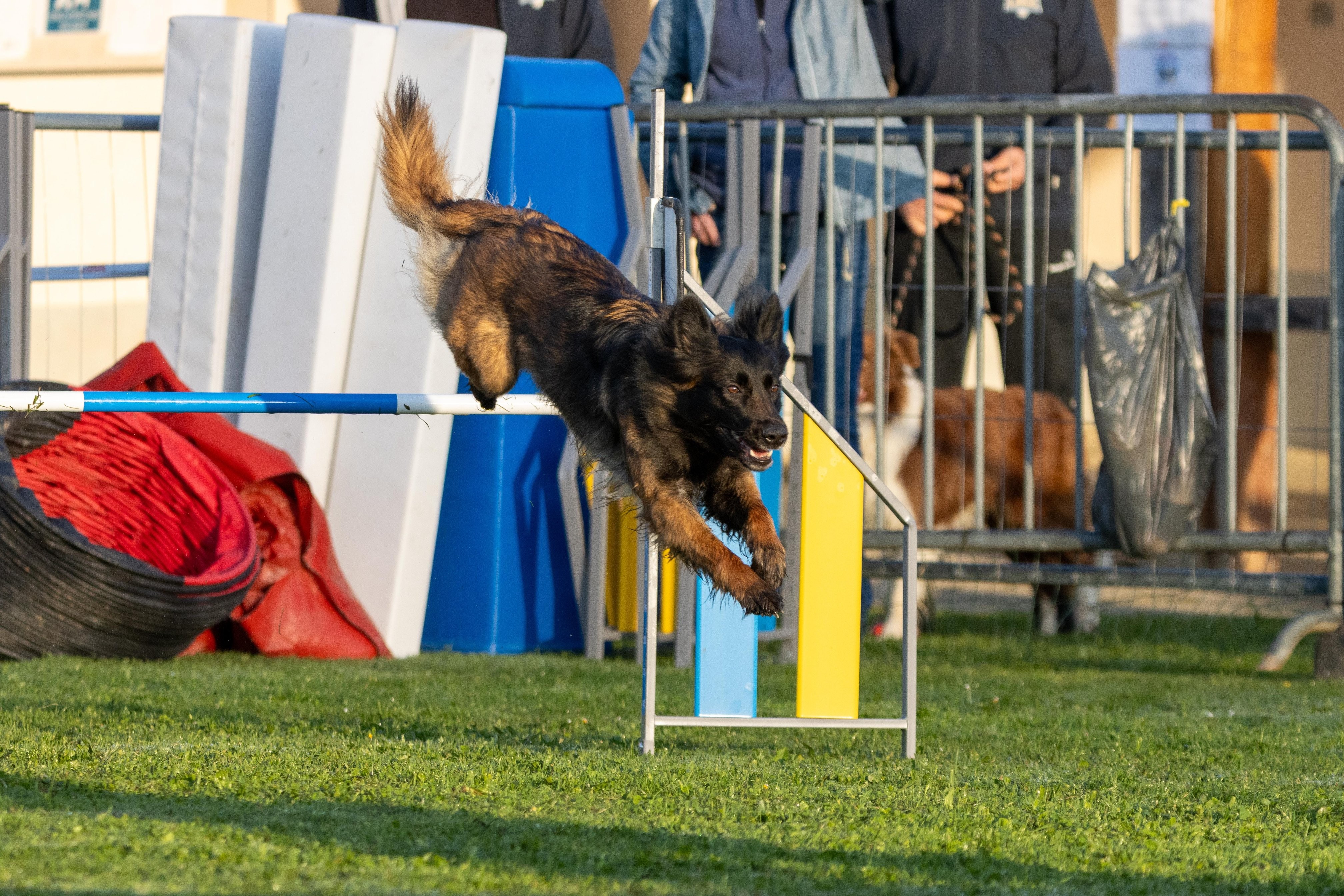 Agility grade 3 0011