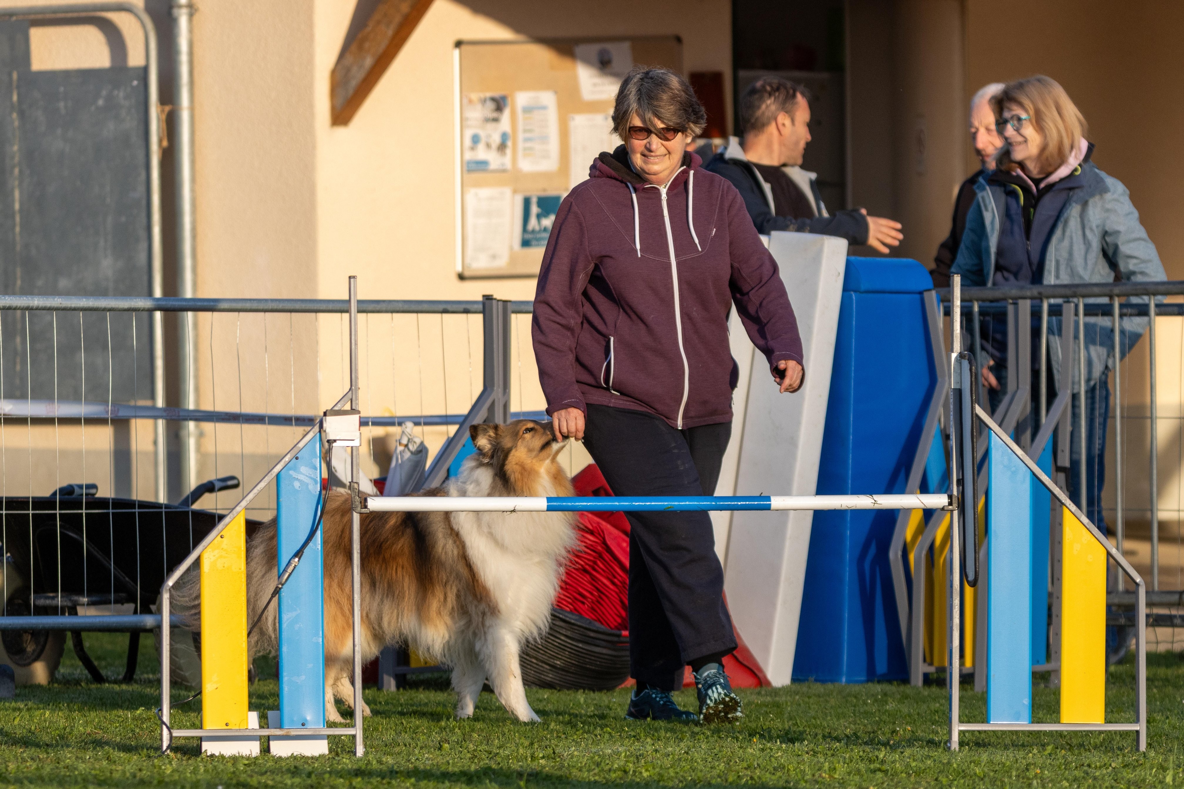 Agility grade 3 0013