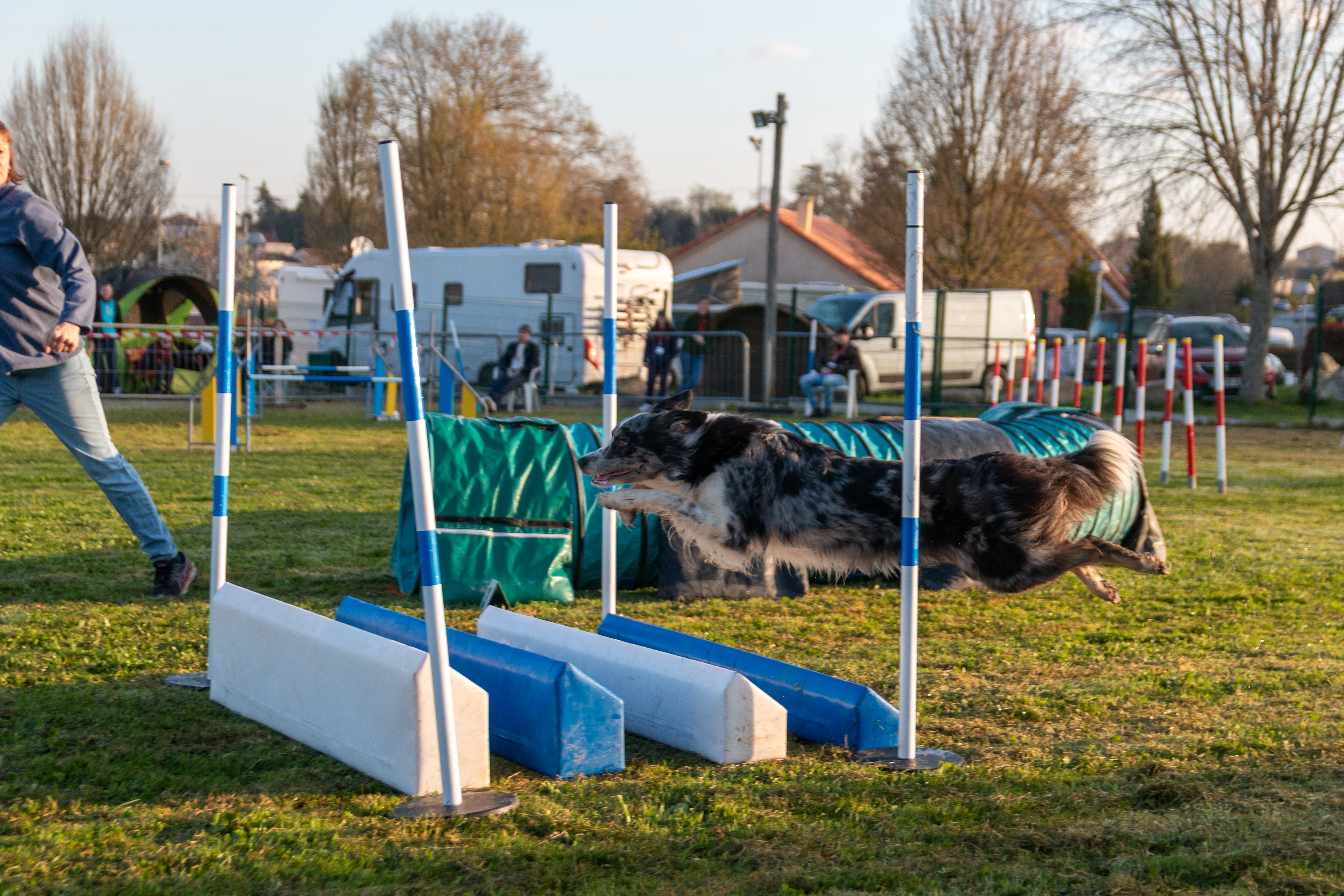 Agility grade 3 0020