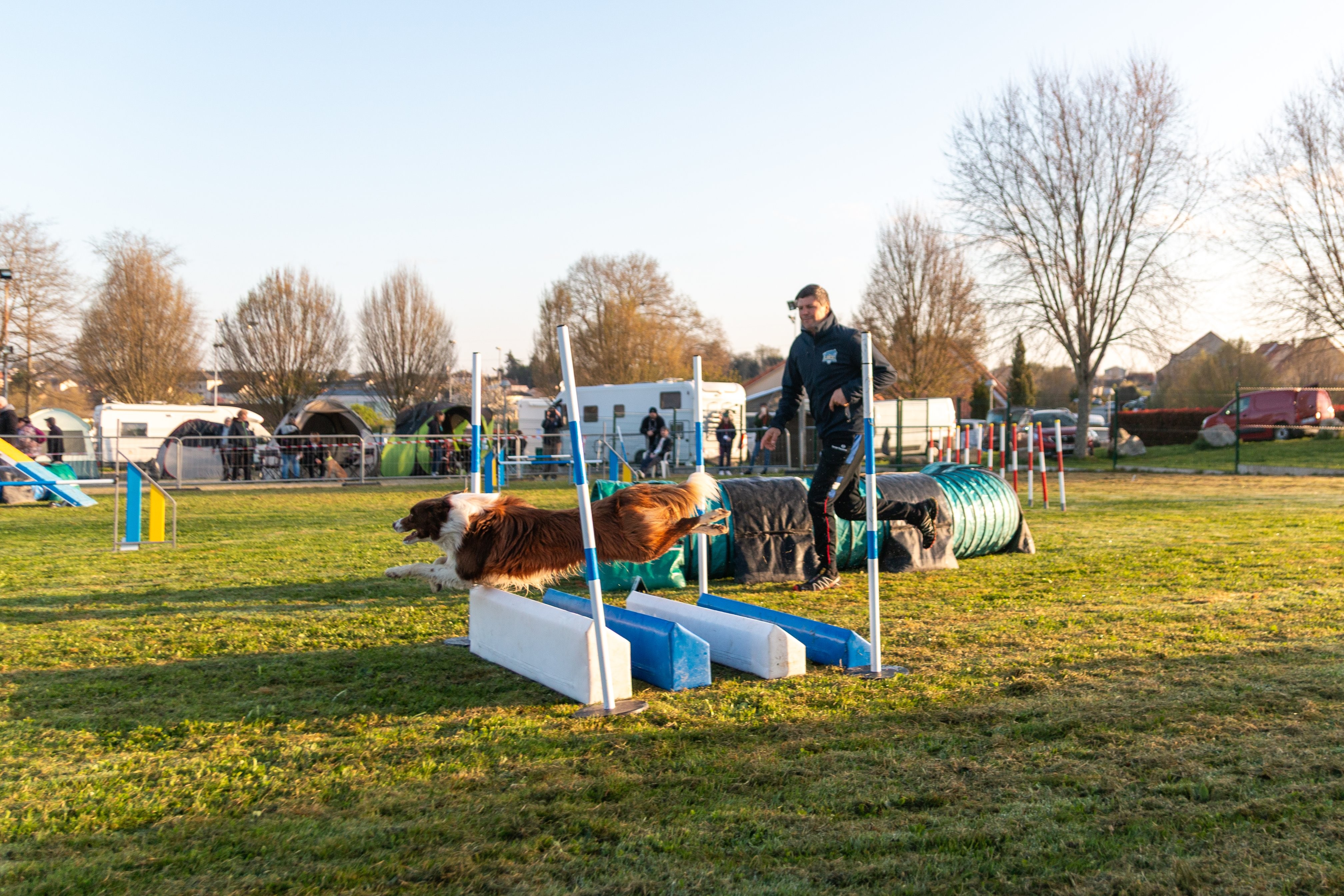 Agility grade 3 0029