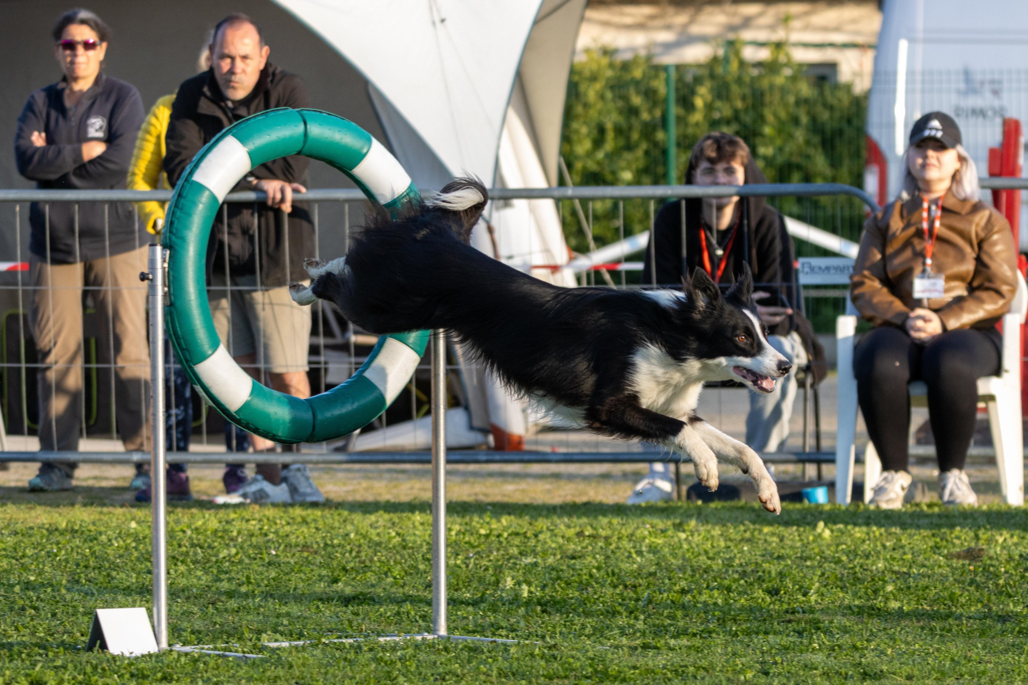 Agility grade 3 0030