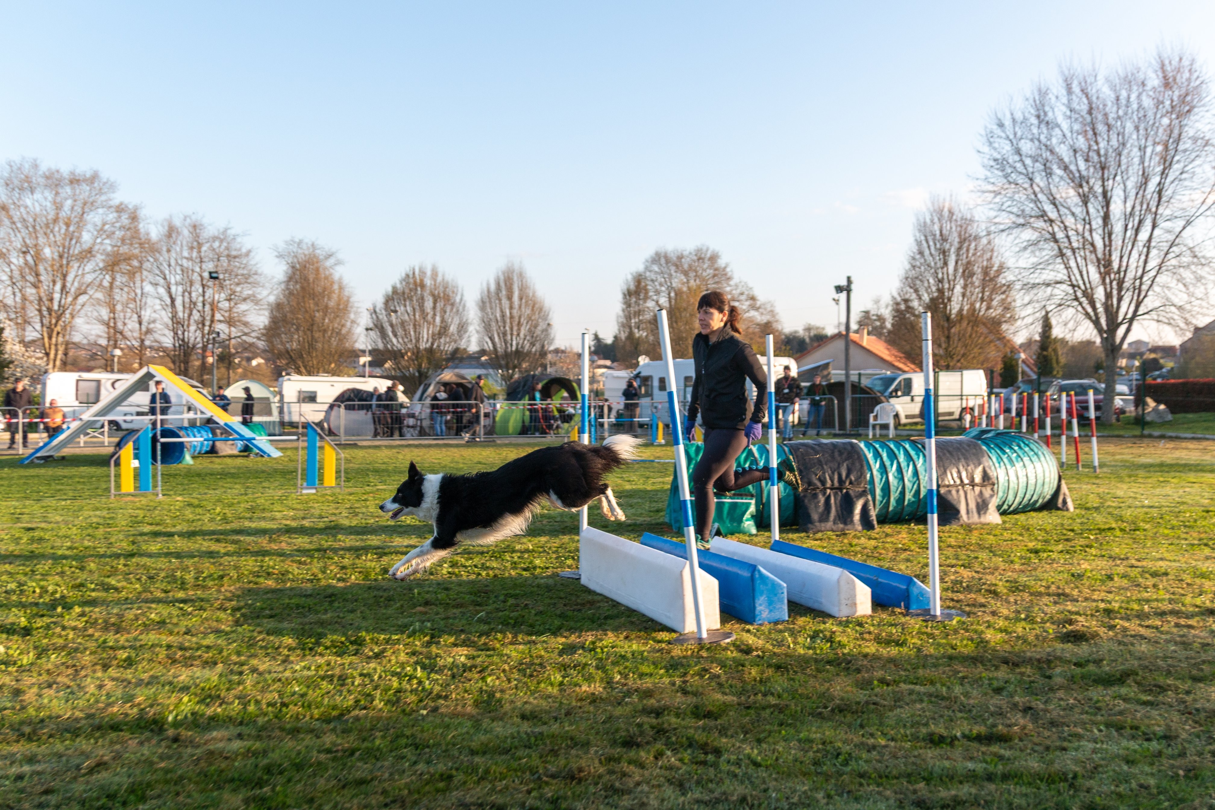 Agility grade 3 0031