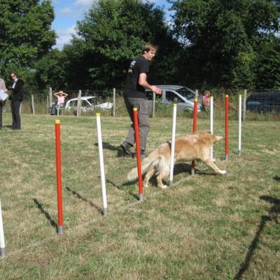 Benjamin & pilou jumping (2)