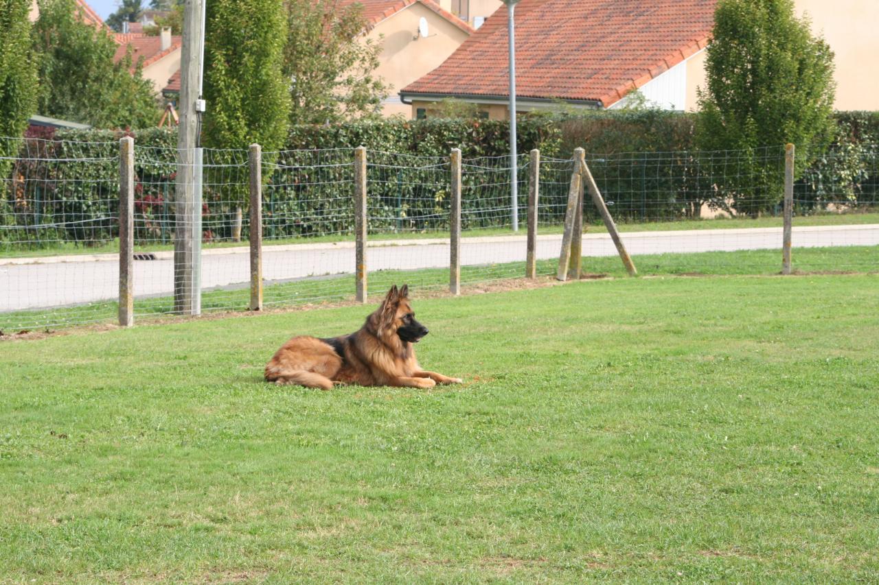 Classe I (28)