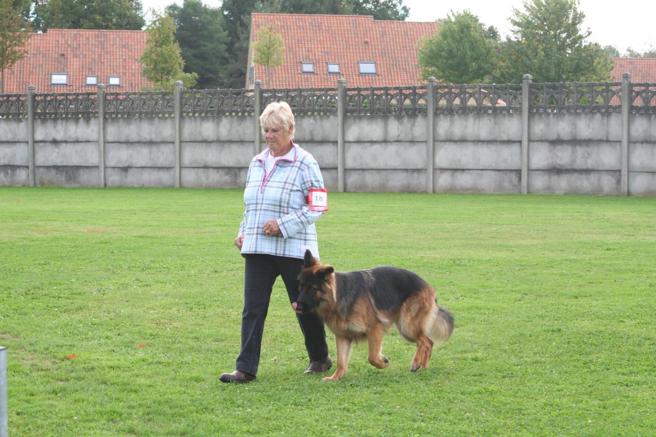 Classe I (41)