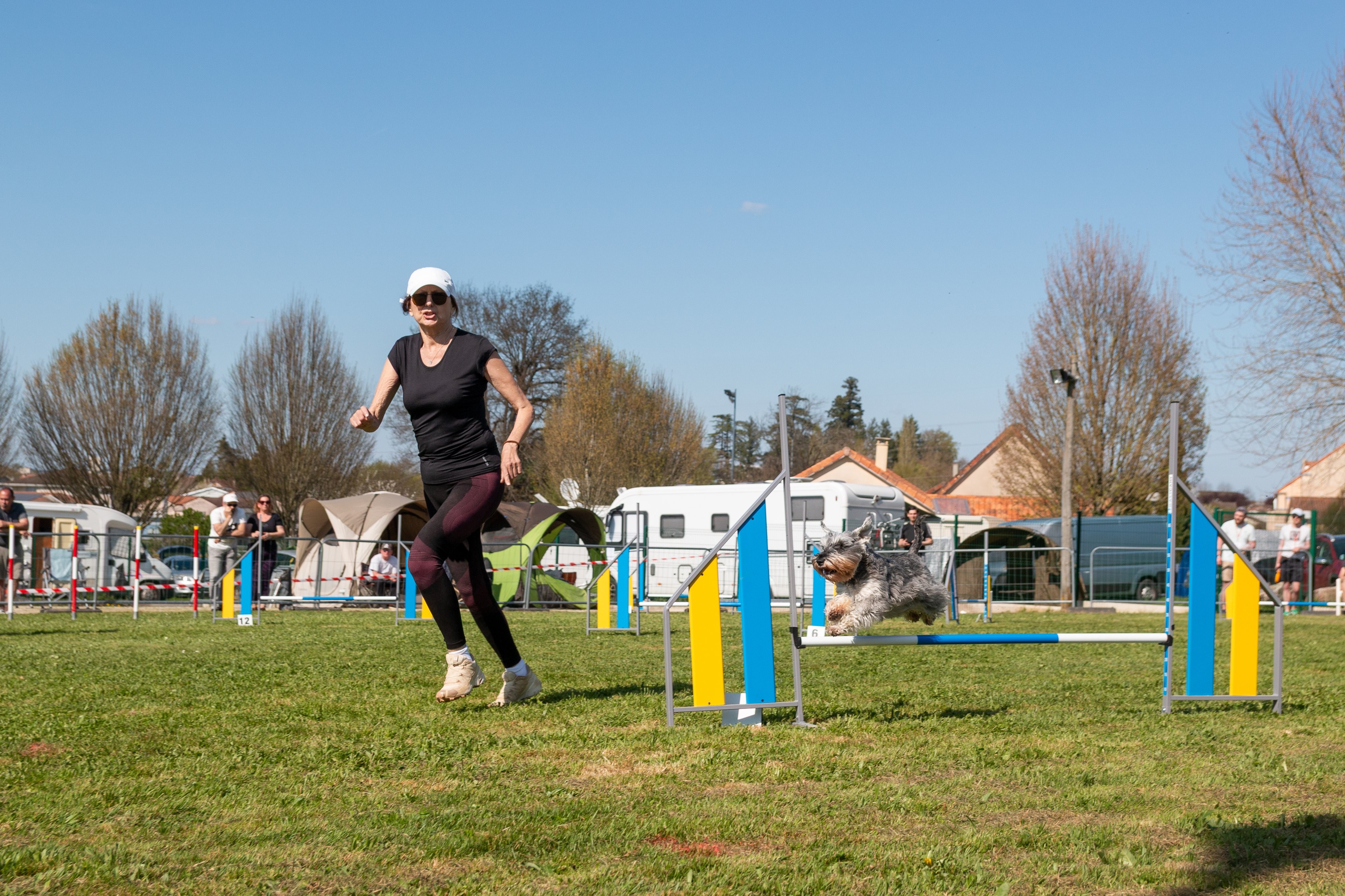 Jumping 2 etoile 0397
