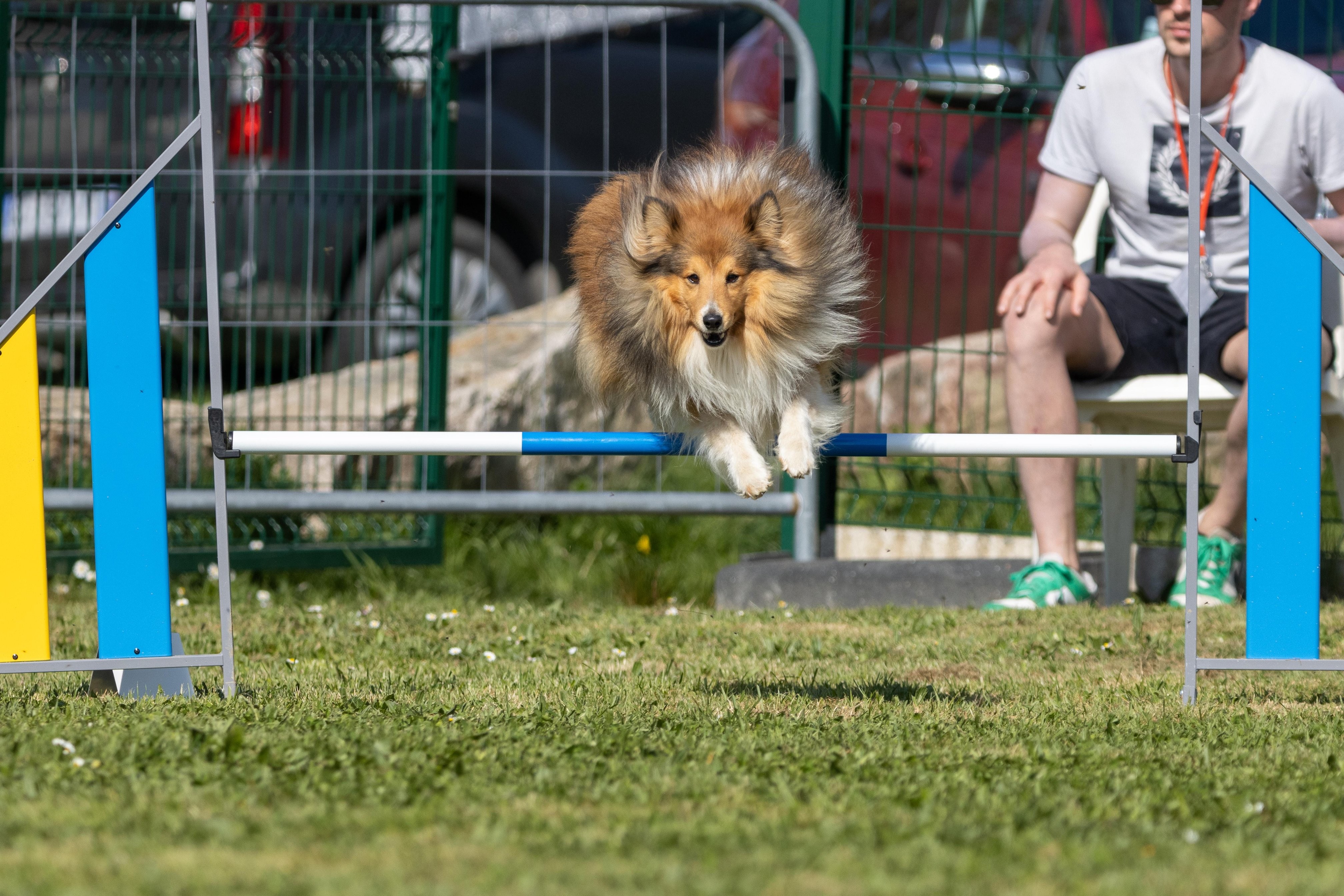 Jumping 2 etoile 0401