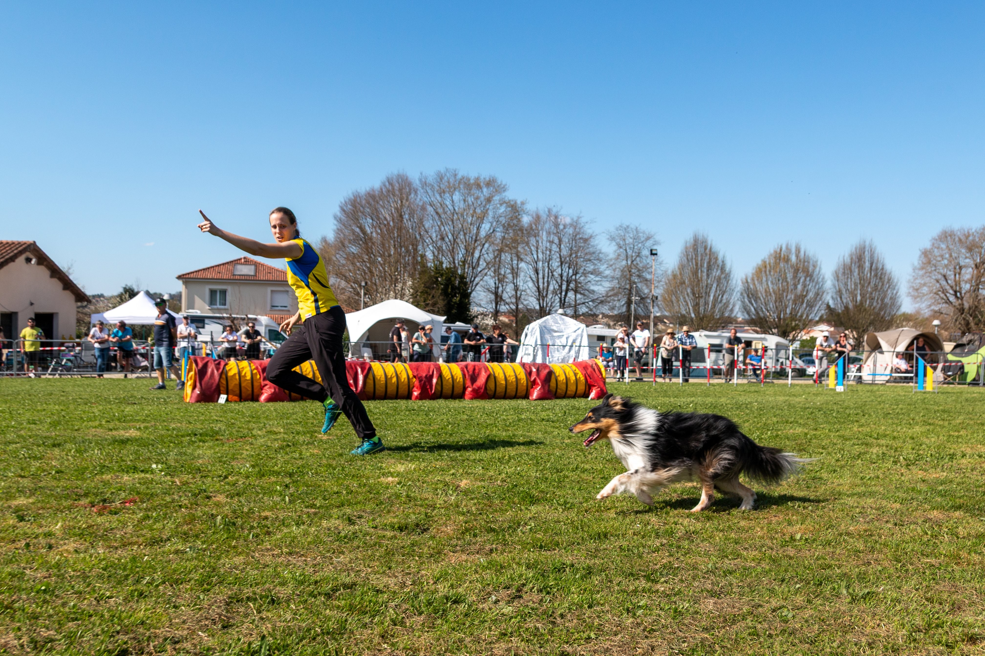Jumping 2 etoile 0405