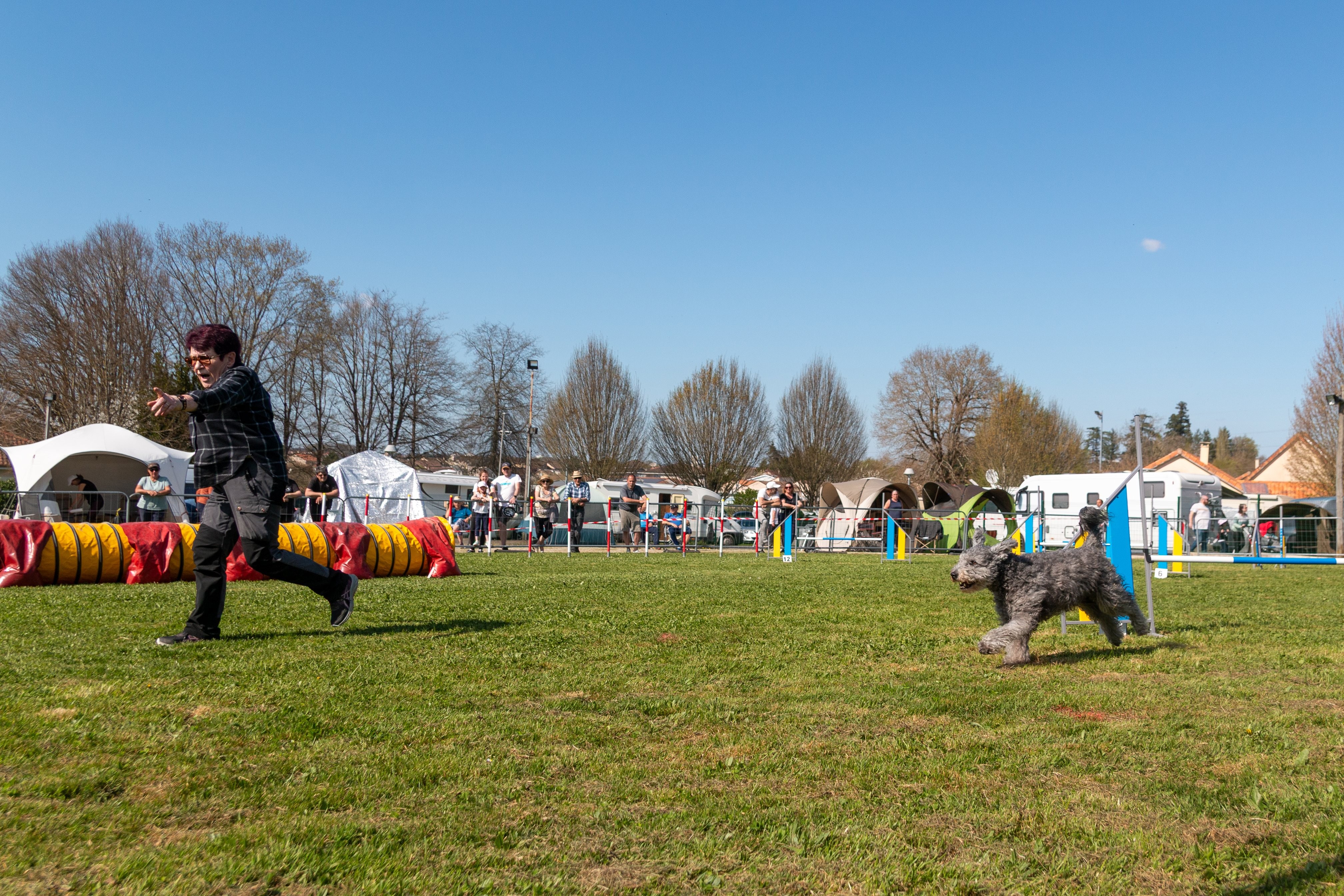 Jumping 2 etoile 0409