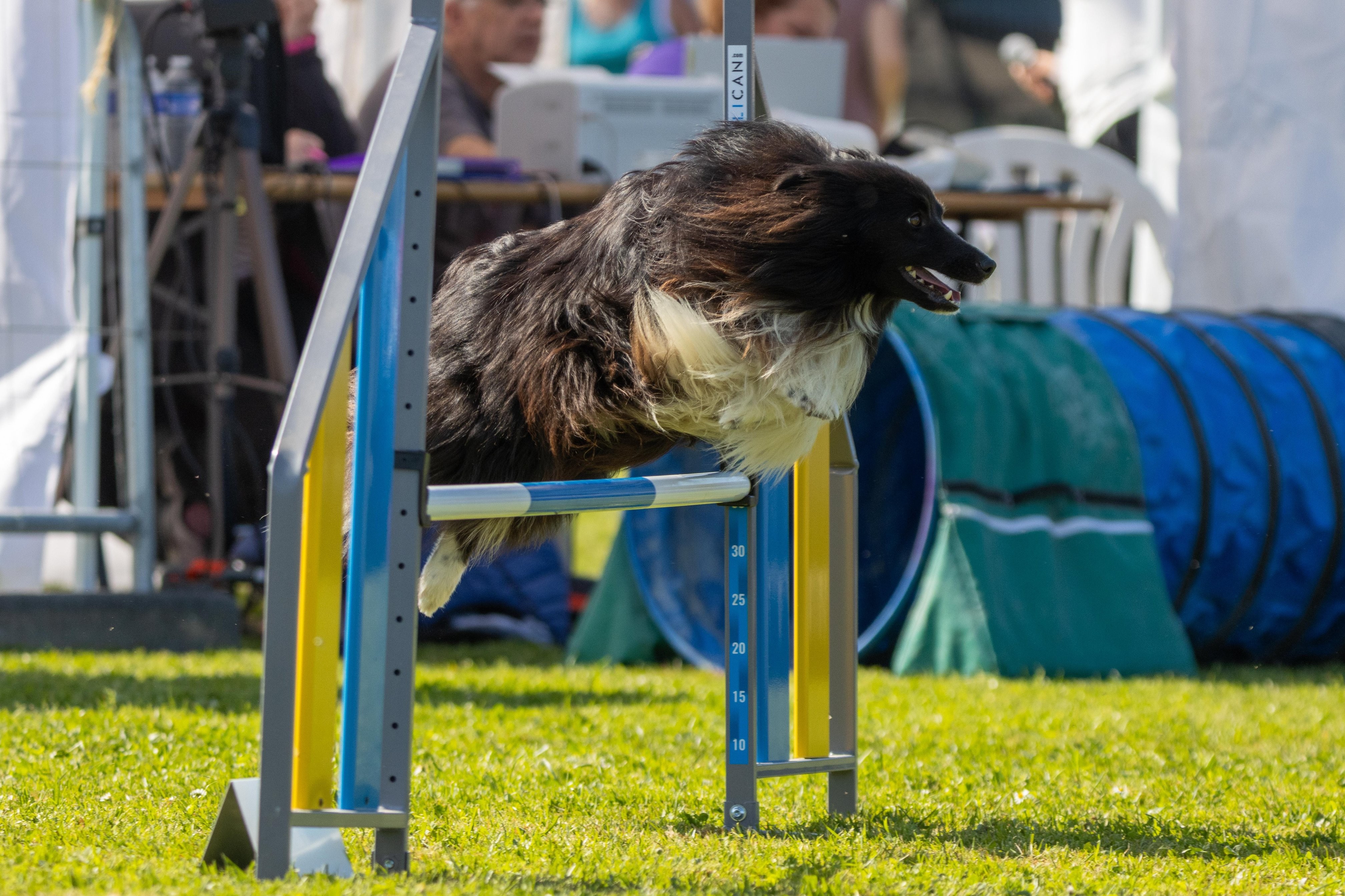 Jumping 2 etoile 0415