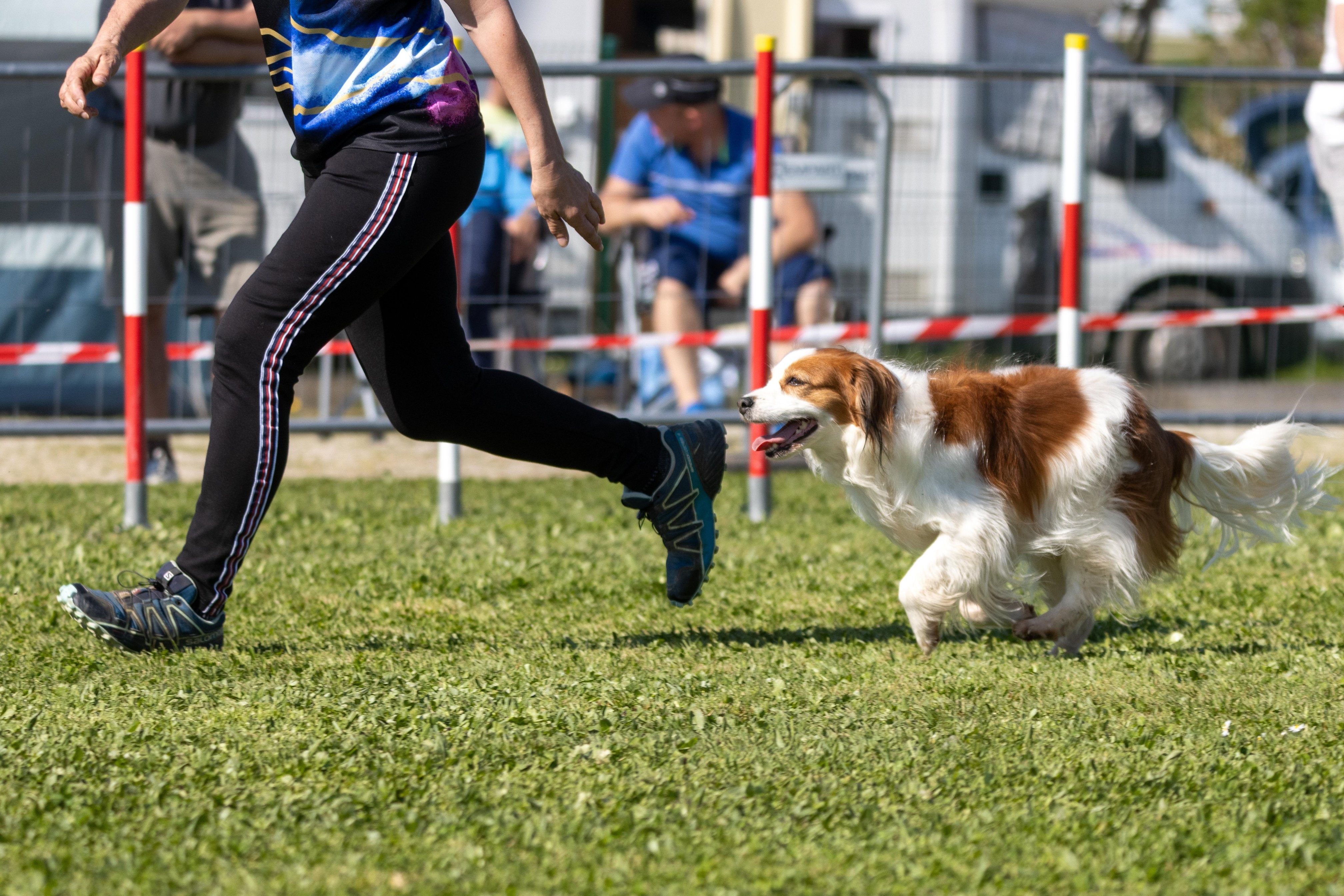 Jumping 2 etoile 0425