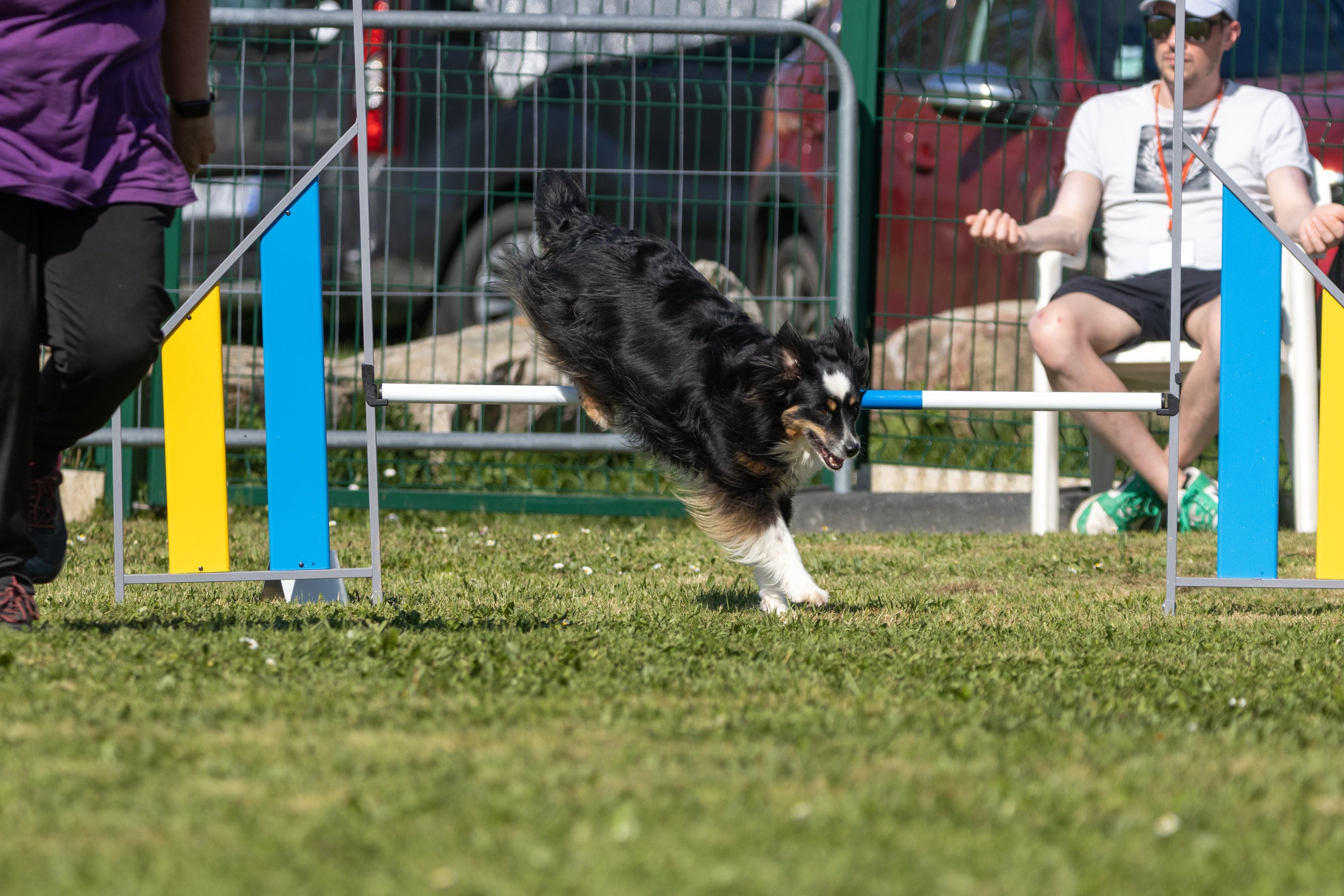 Jumping 2 etoile 0429