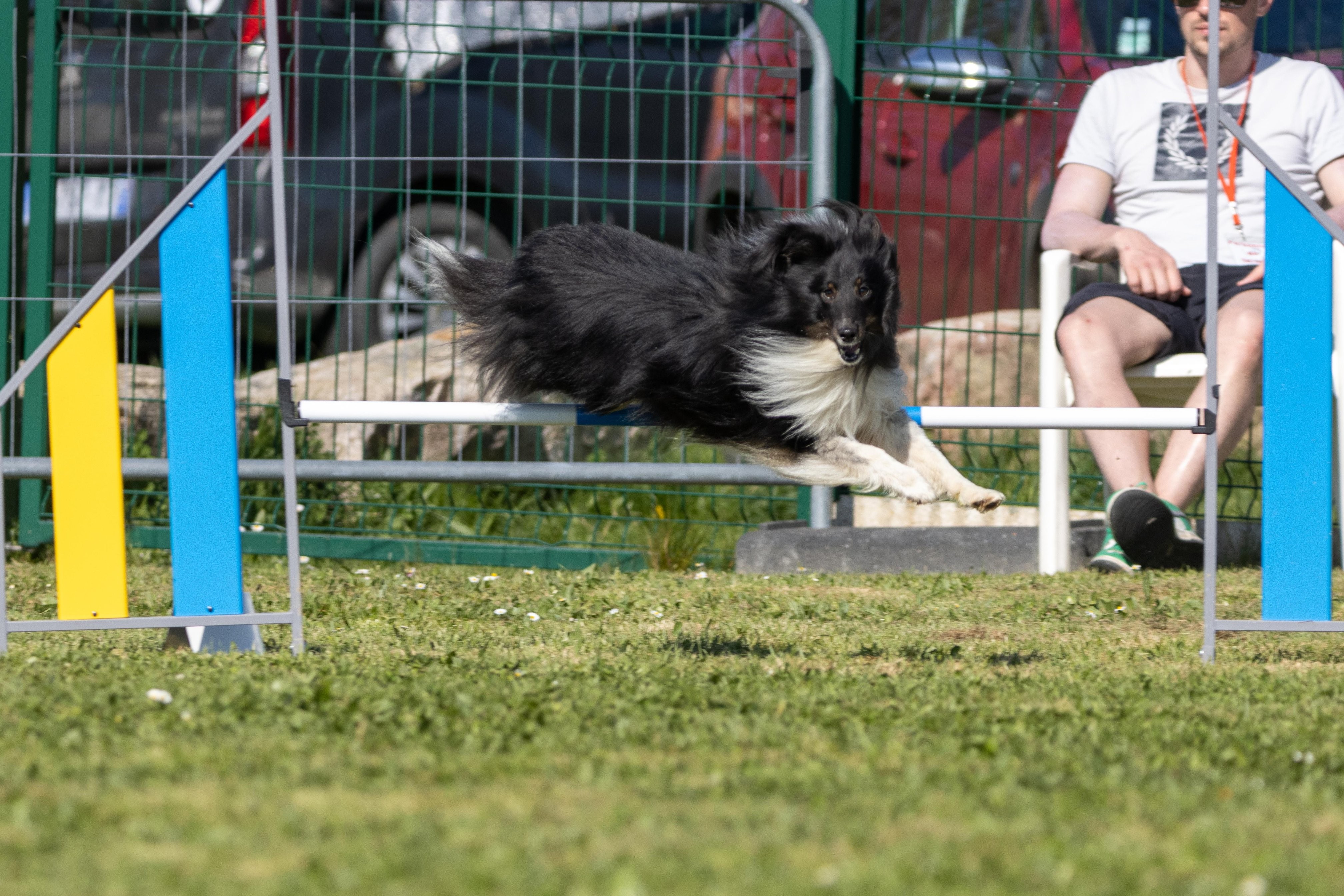 Jumping 2 etoile 0433