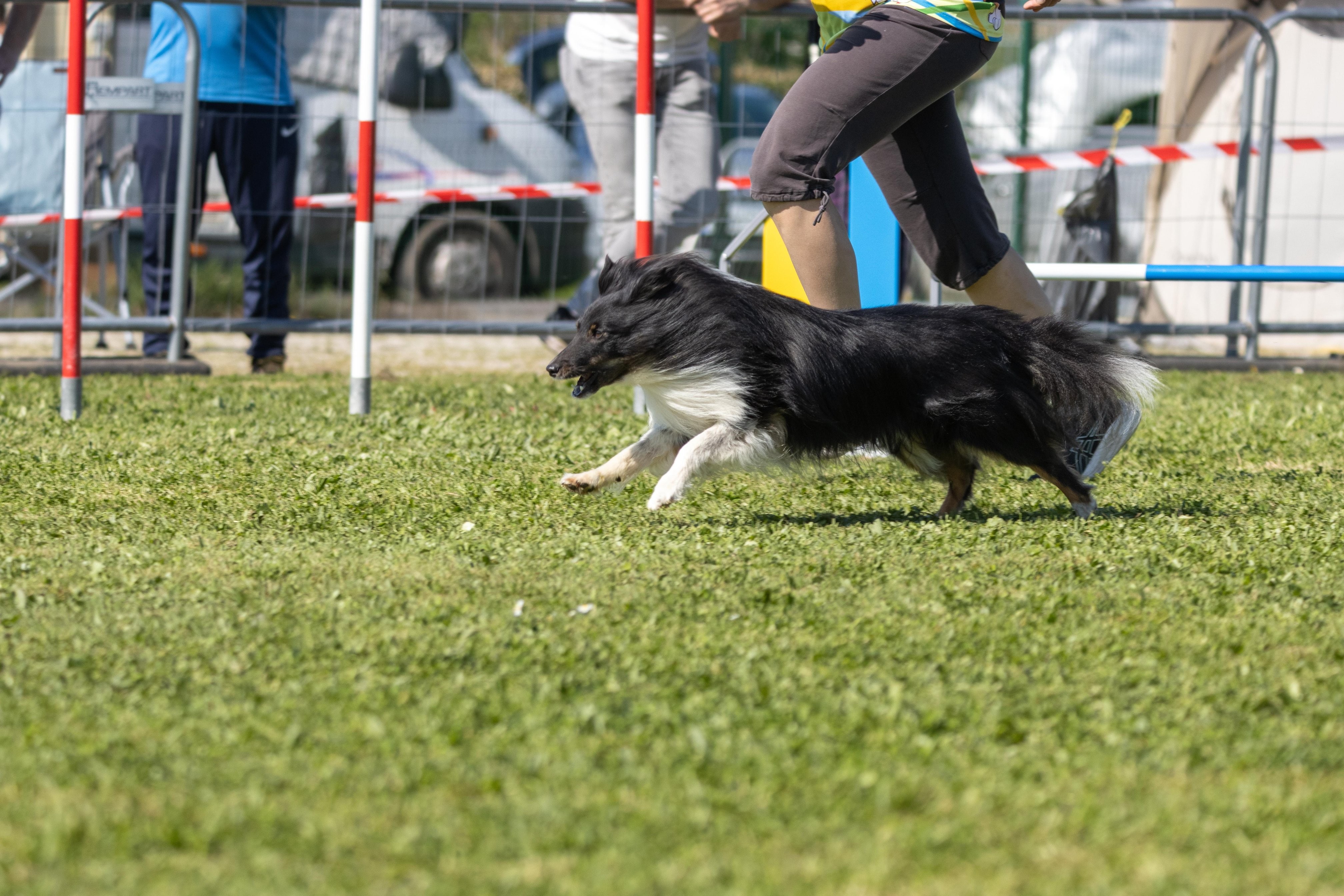 Jumping 2 etoile 0434