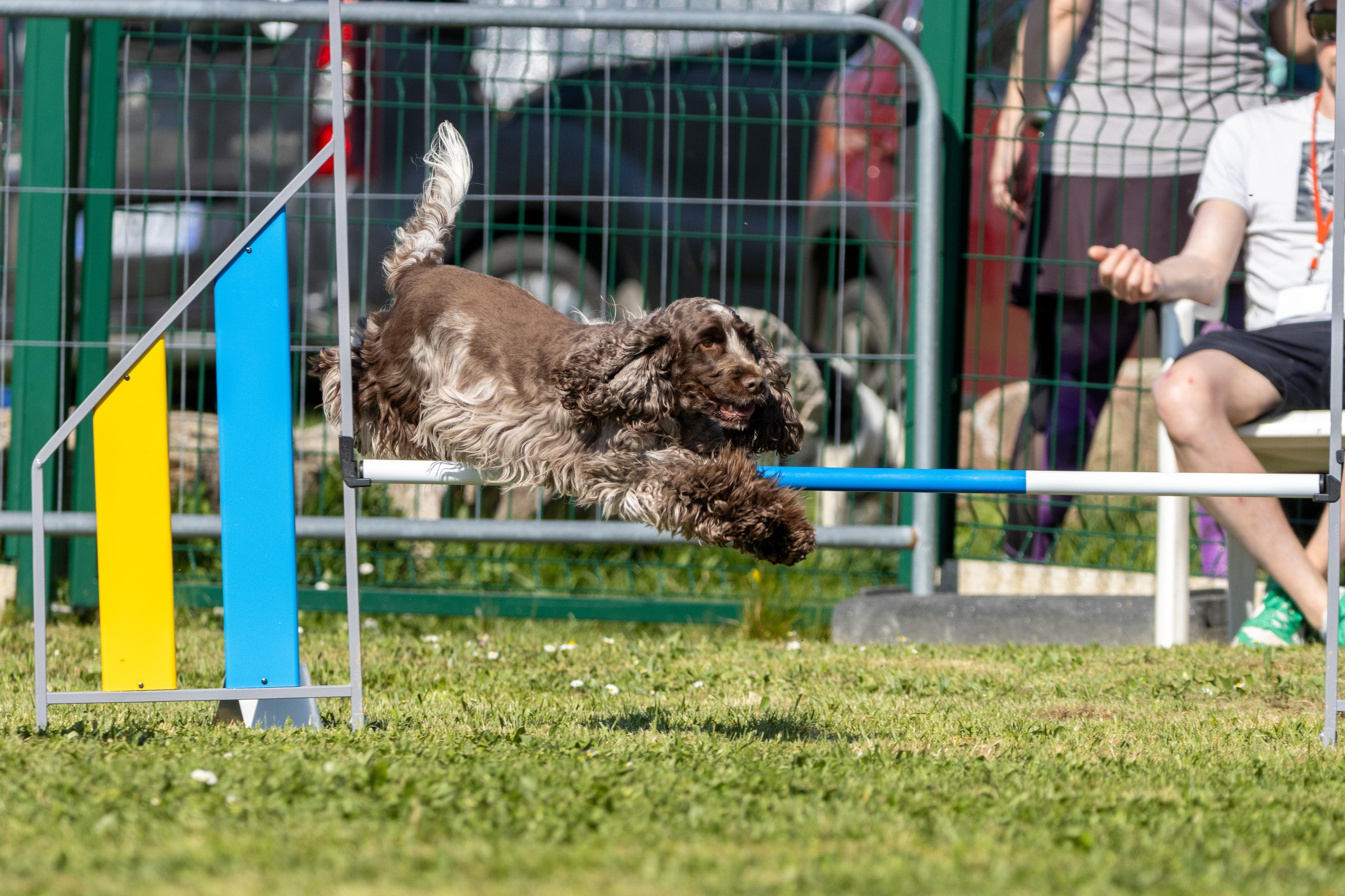Jumping 2 etoile 0436