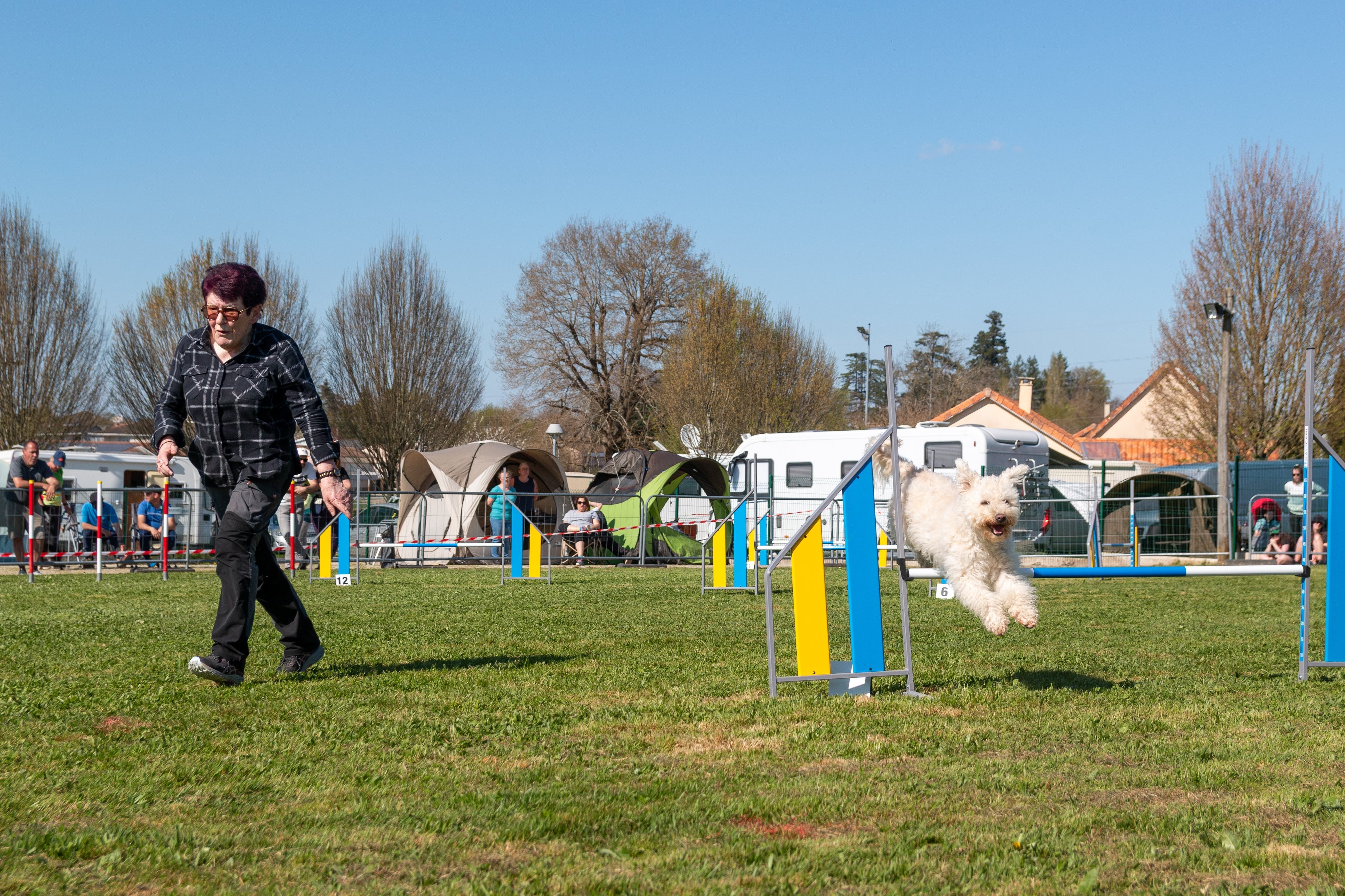 Jumping 2 etoile 0441