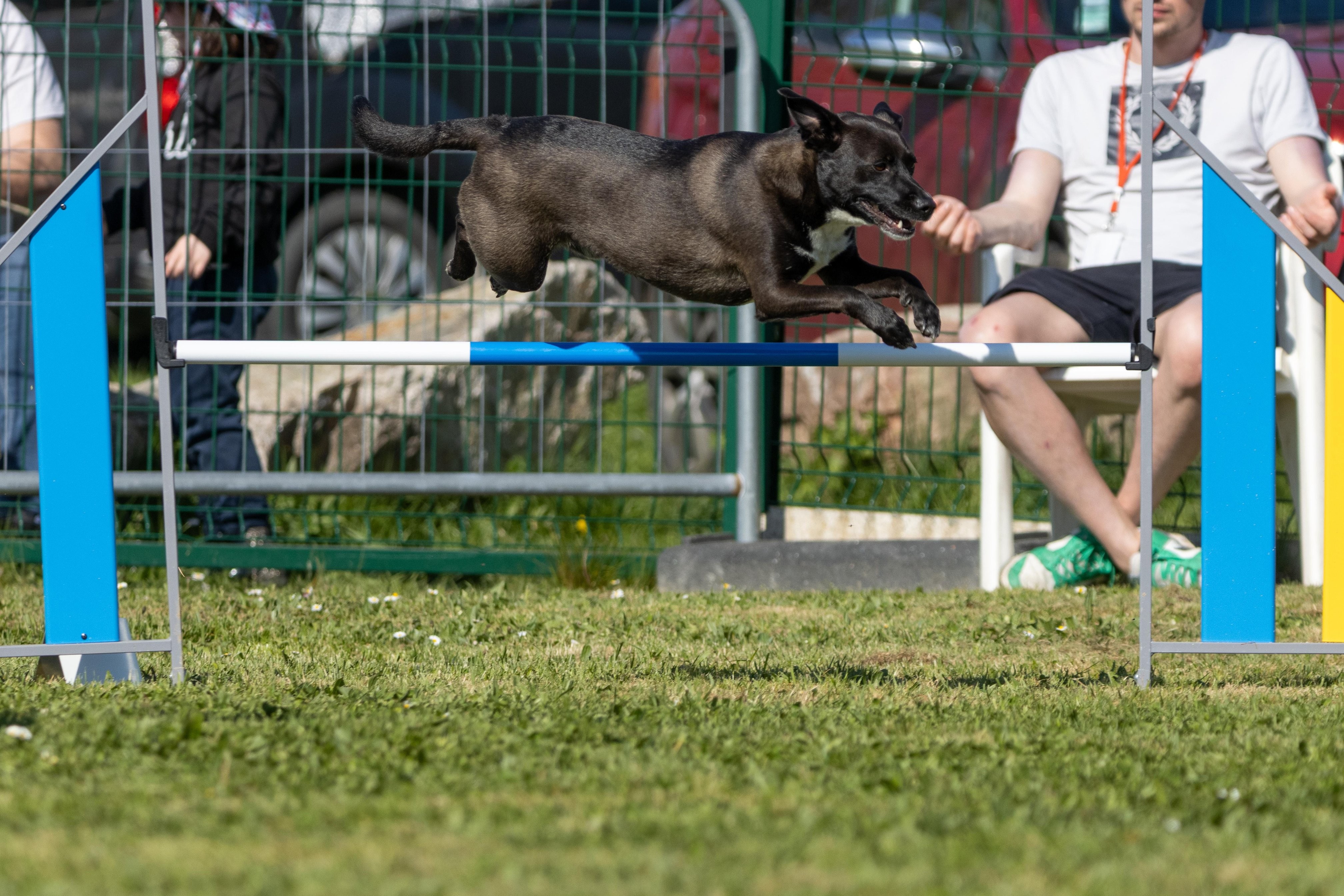 Jumping 2 etoile 0443