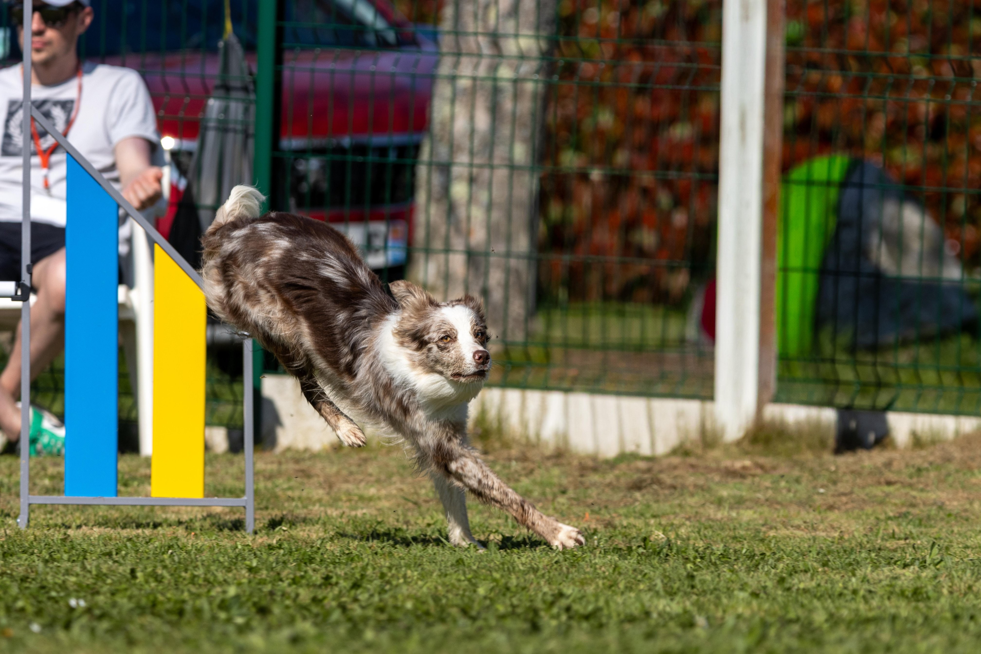 Jumping 2 etoile 0449