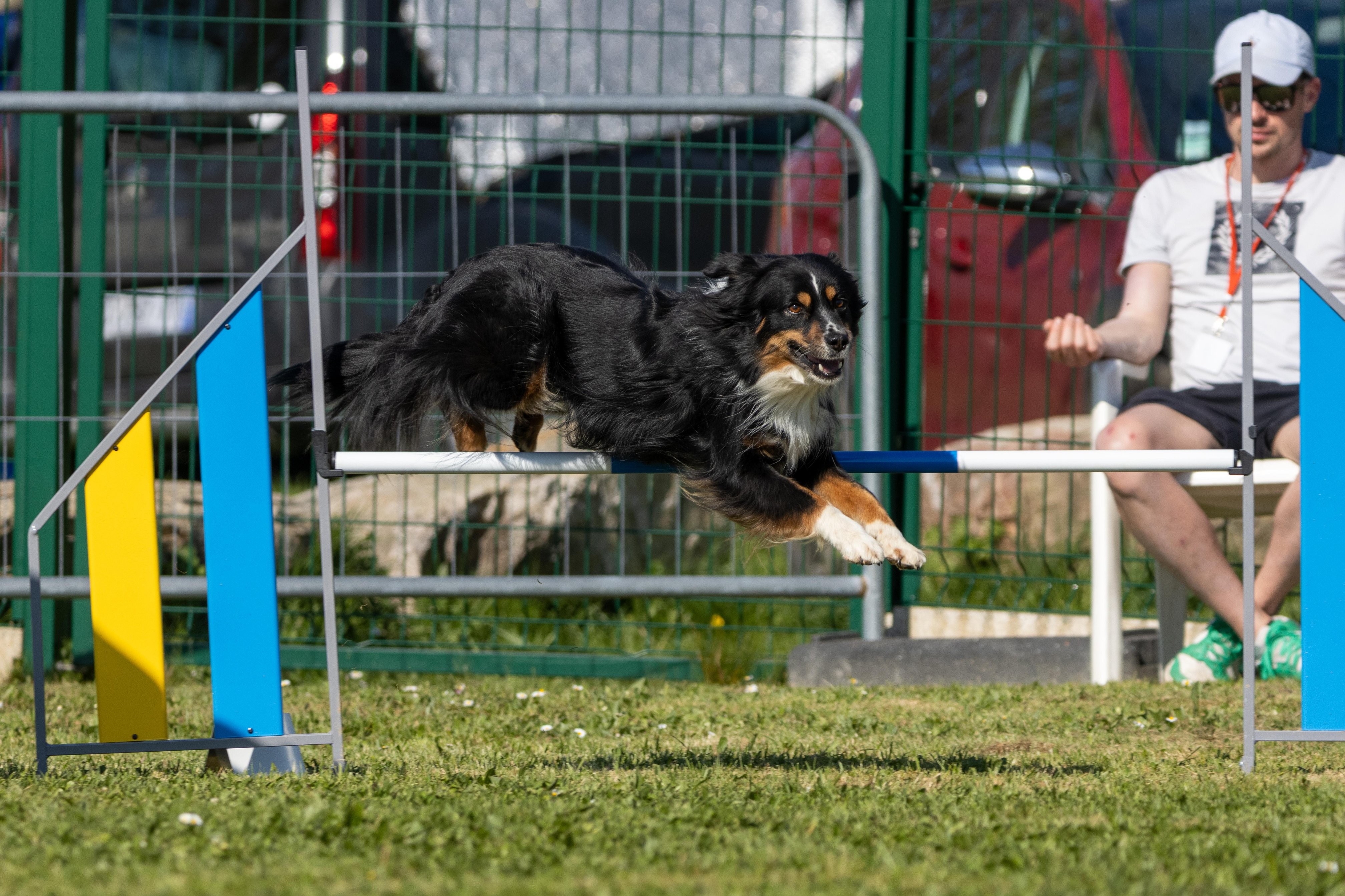 Jumping 2 etoile 0457