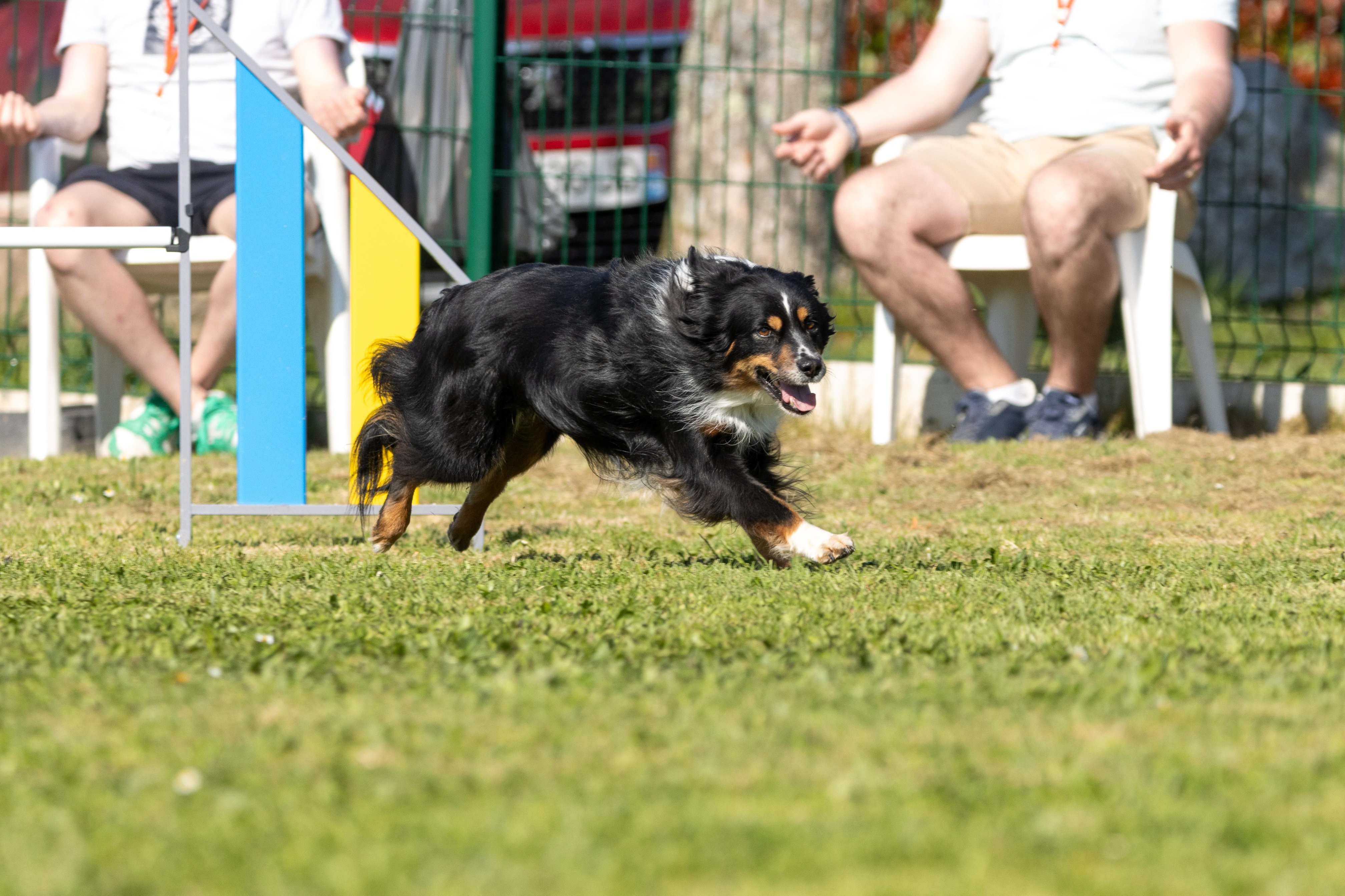 Jumping 2 etoile 0458