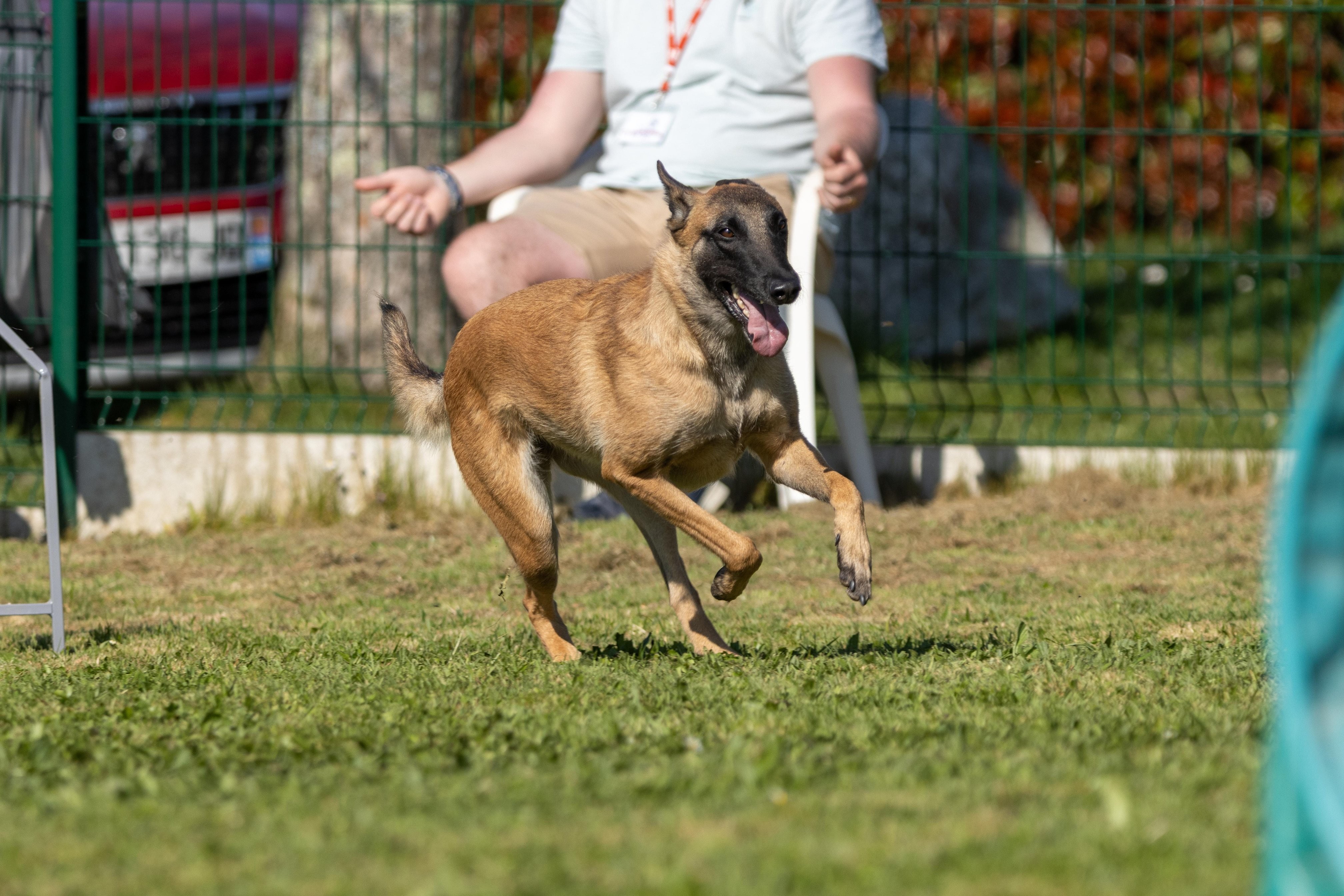 Jumping 2 etoile 0463