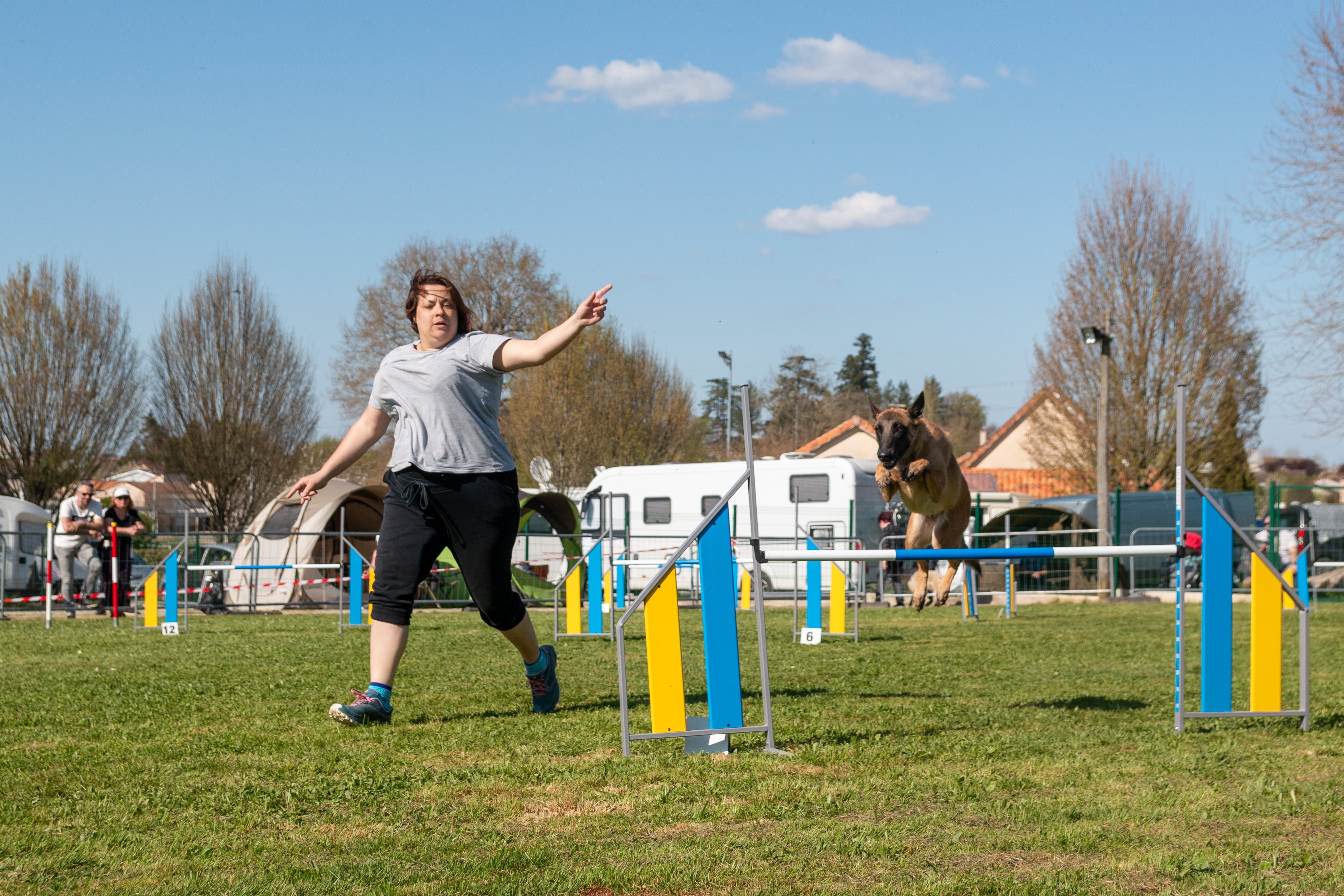 Jumping 2 etoile 0466