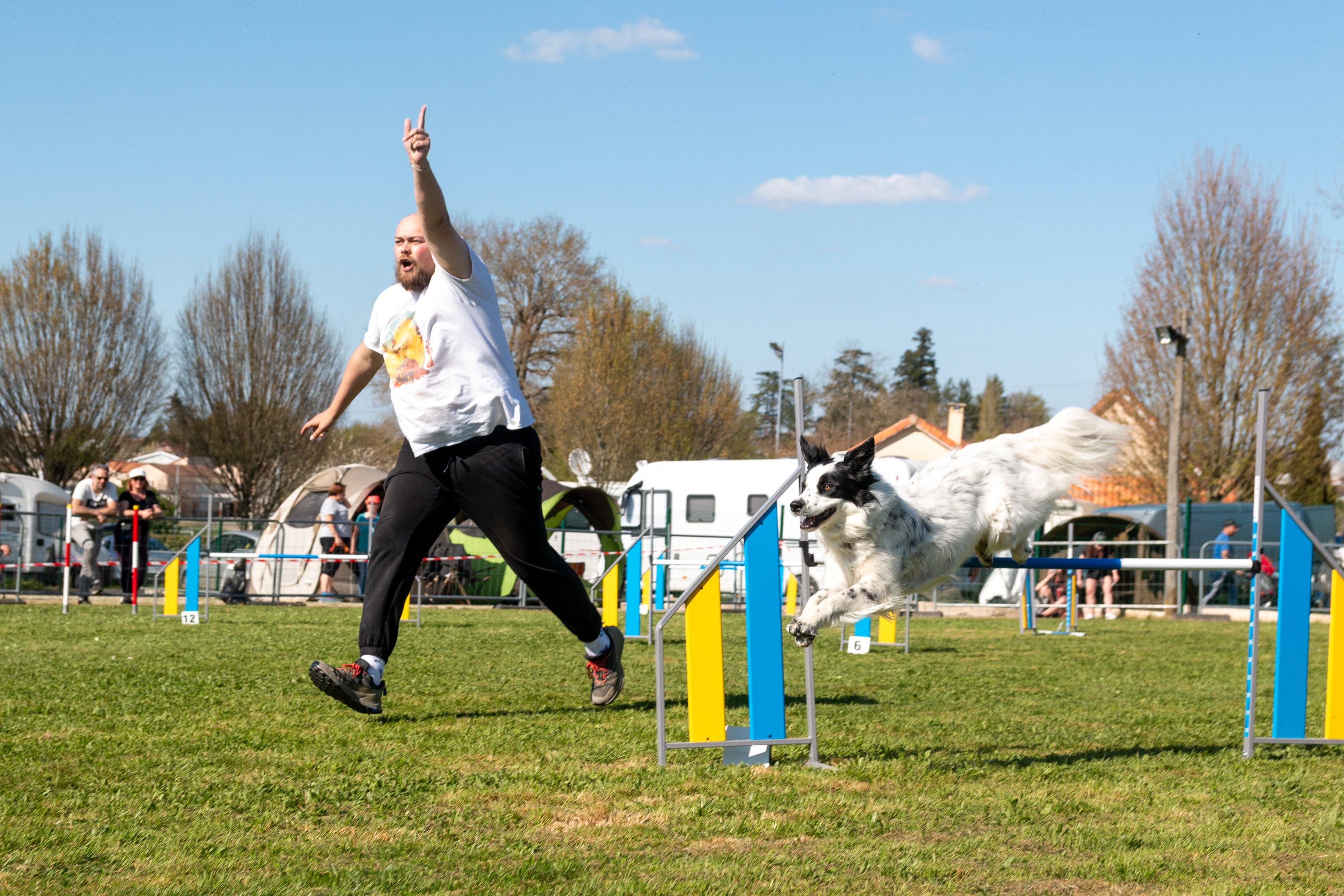 Jumping 2 etoile 0472