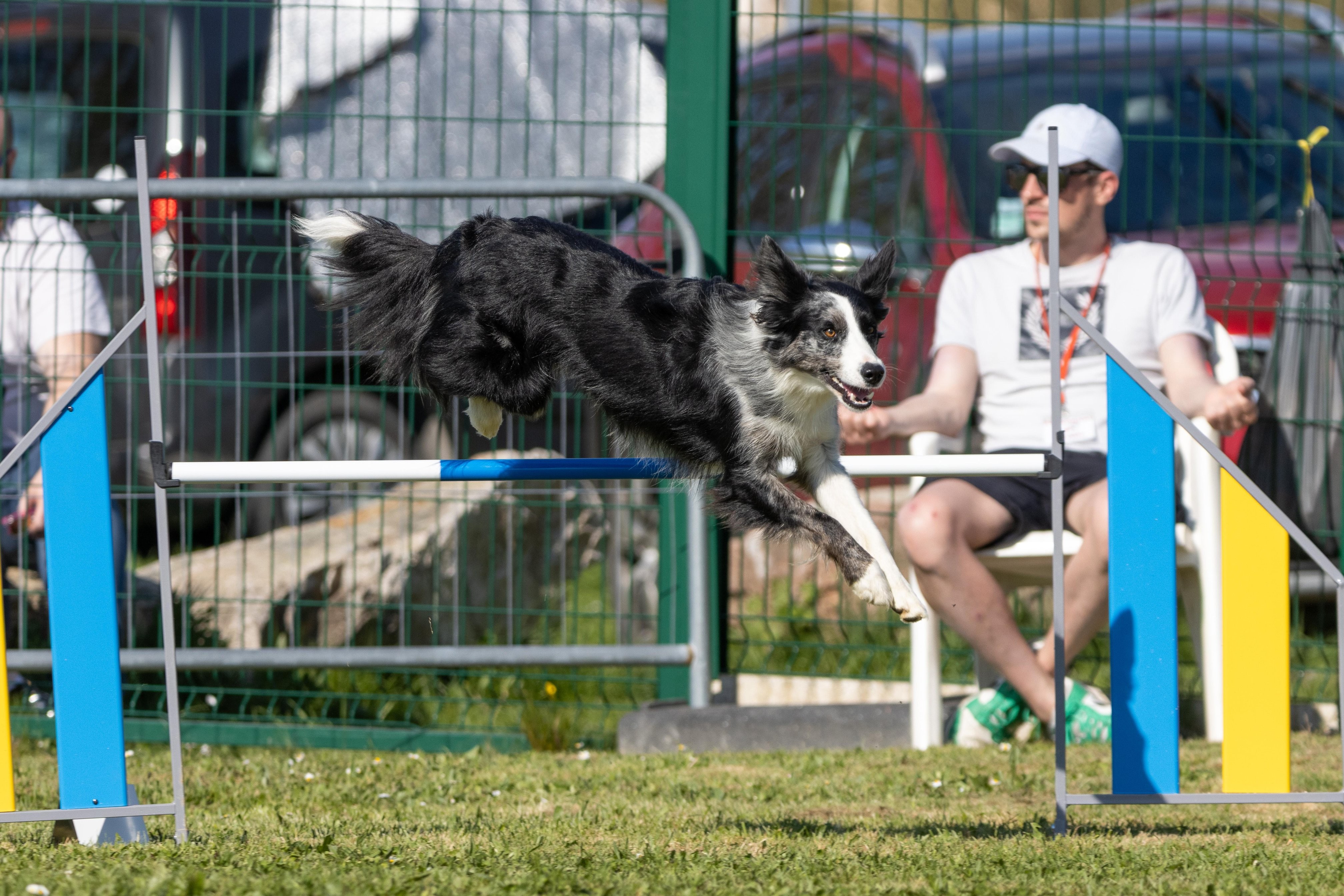 Jumping 2 etoile 0474