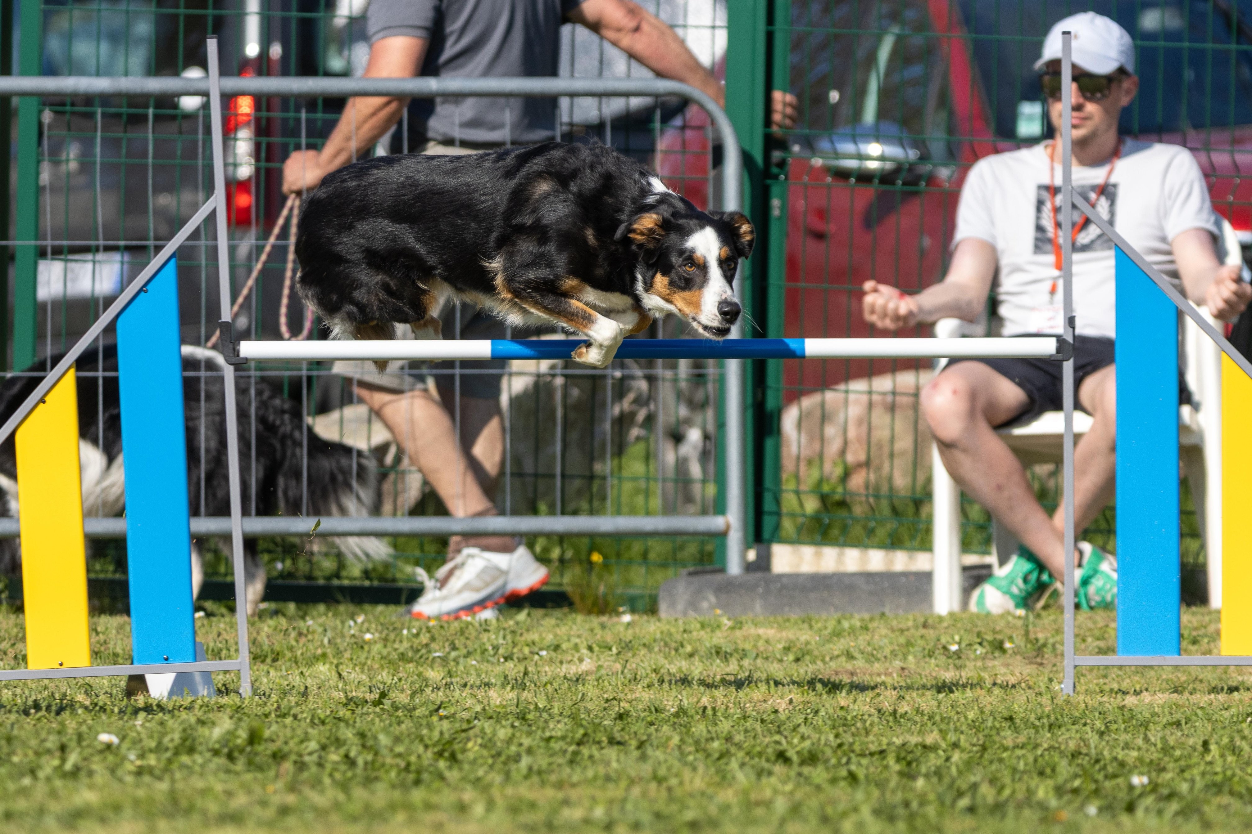 Jumping 2 etoile 0477
