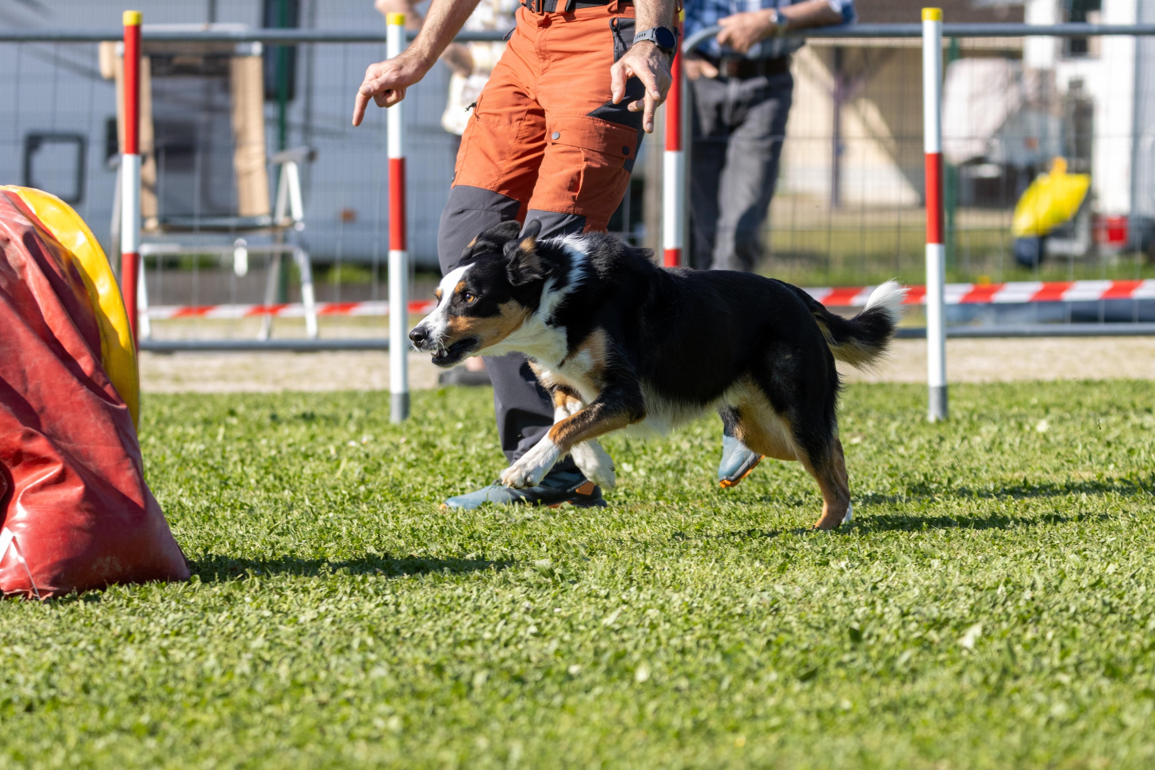 Jumping 2 etoile 0479