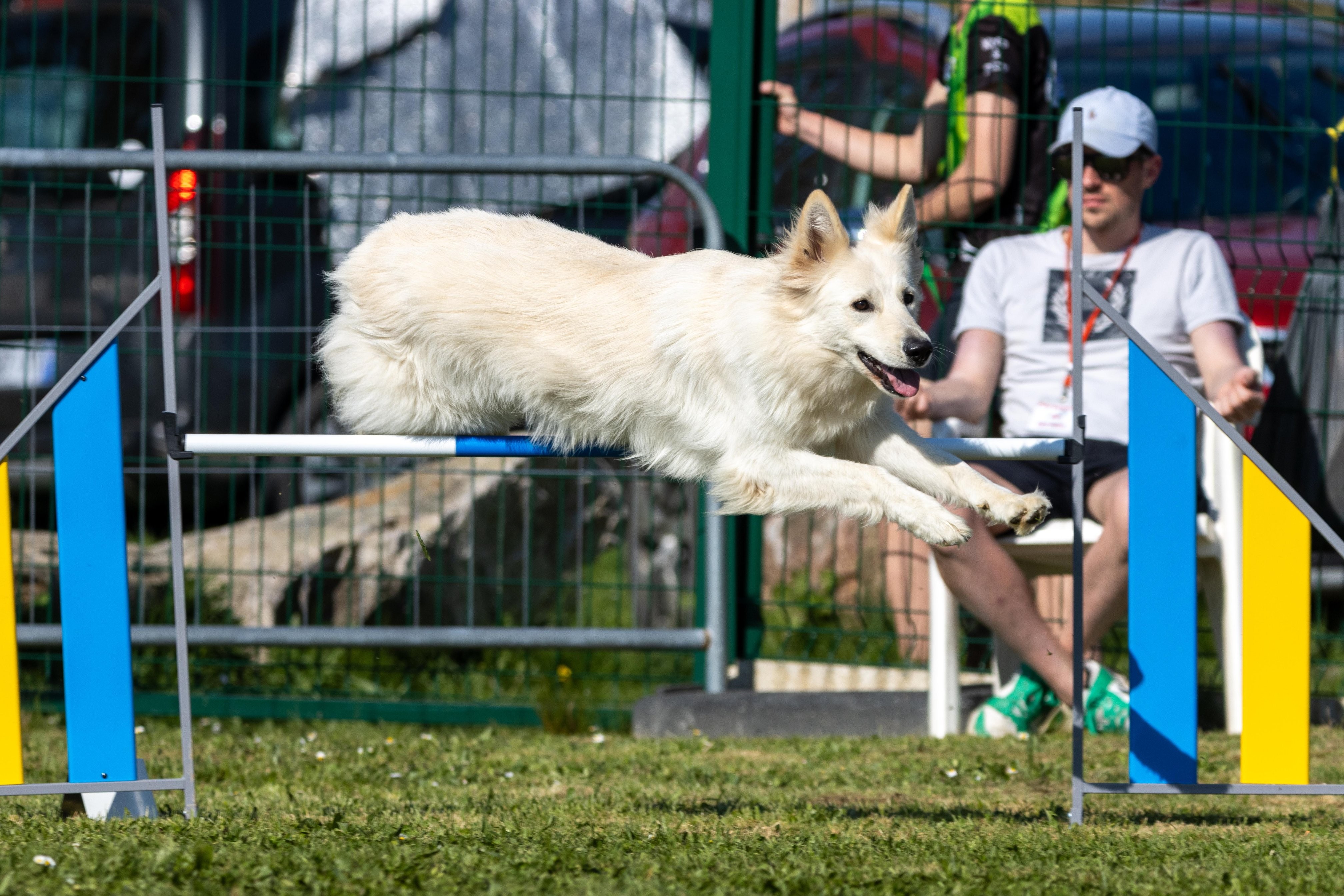 Jumping 2 etoile 0481