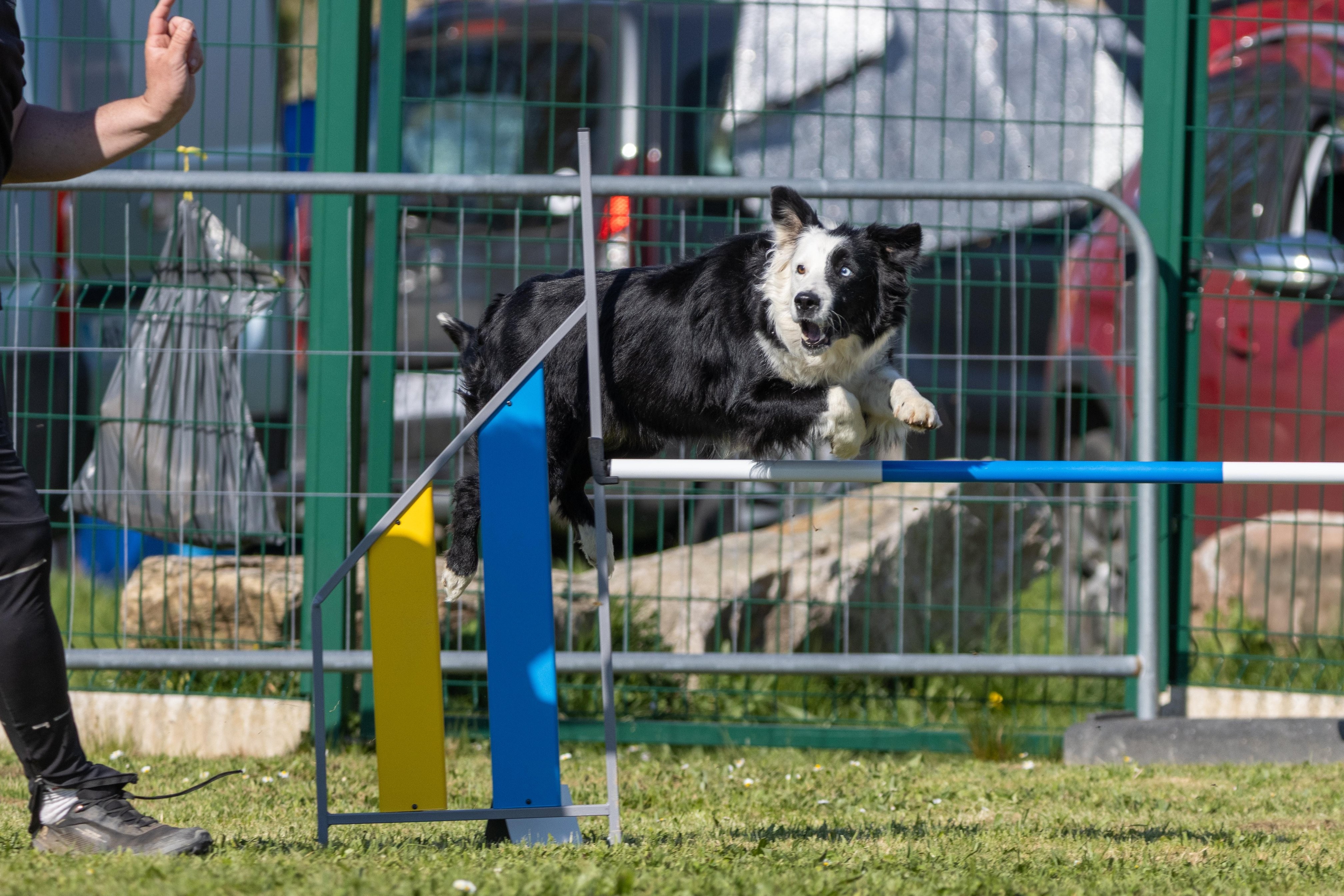 Jumping 2 etoile 0485
