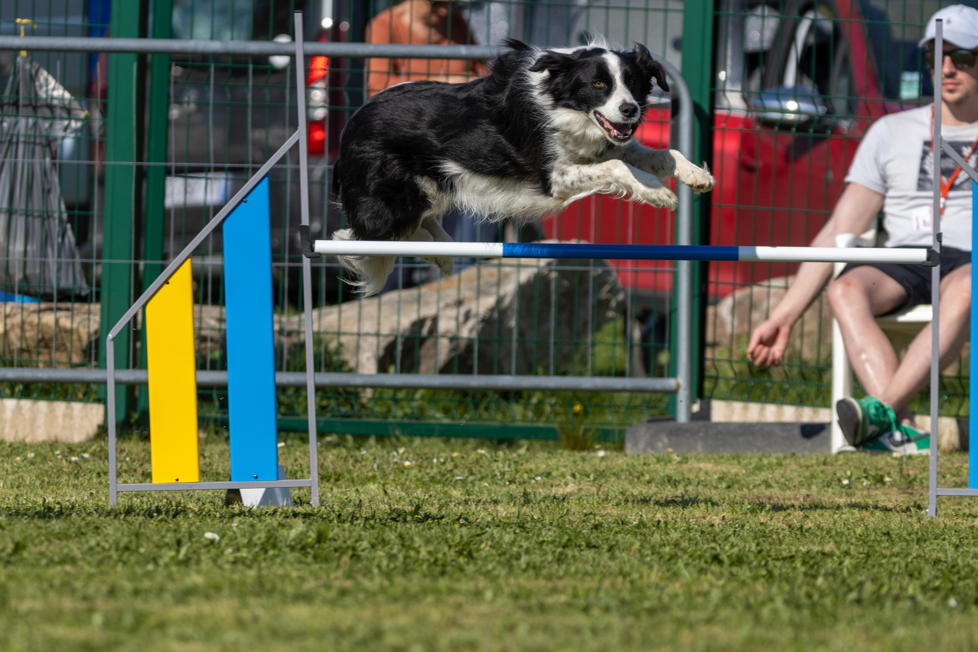 Jumping 2 etoile 0488