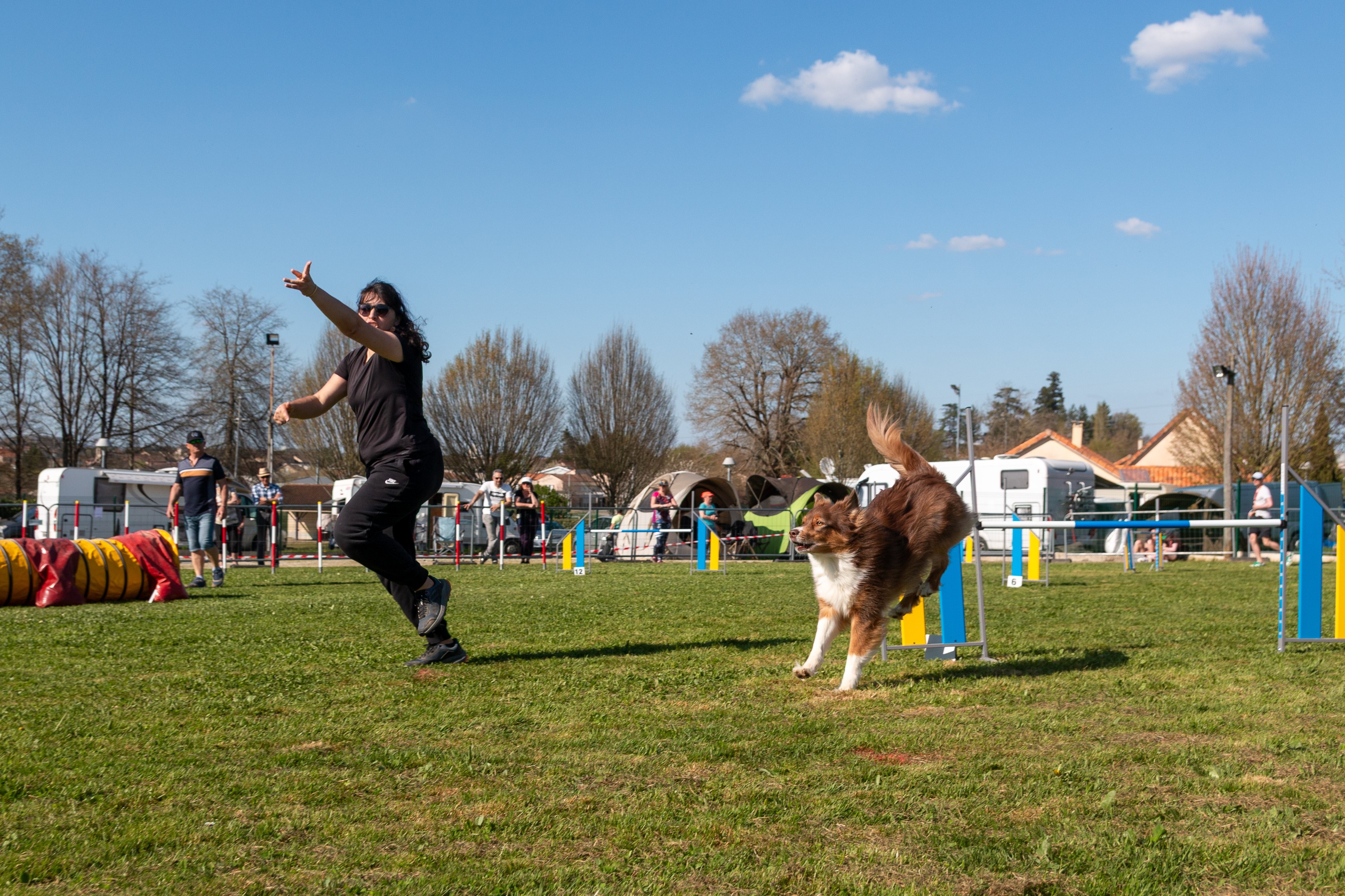 Jumping 2 etoile 0494