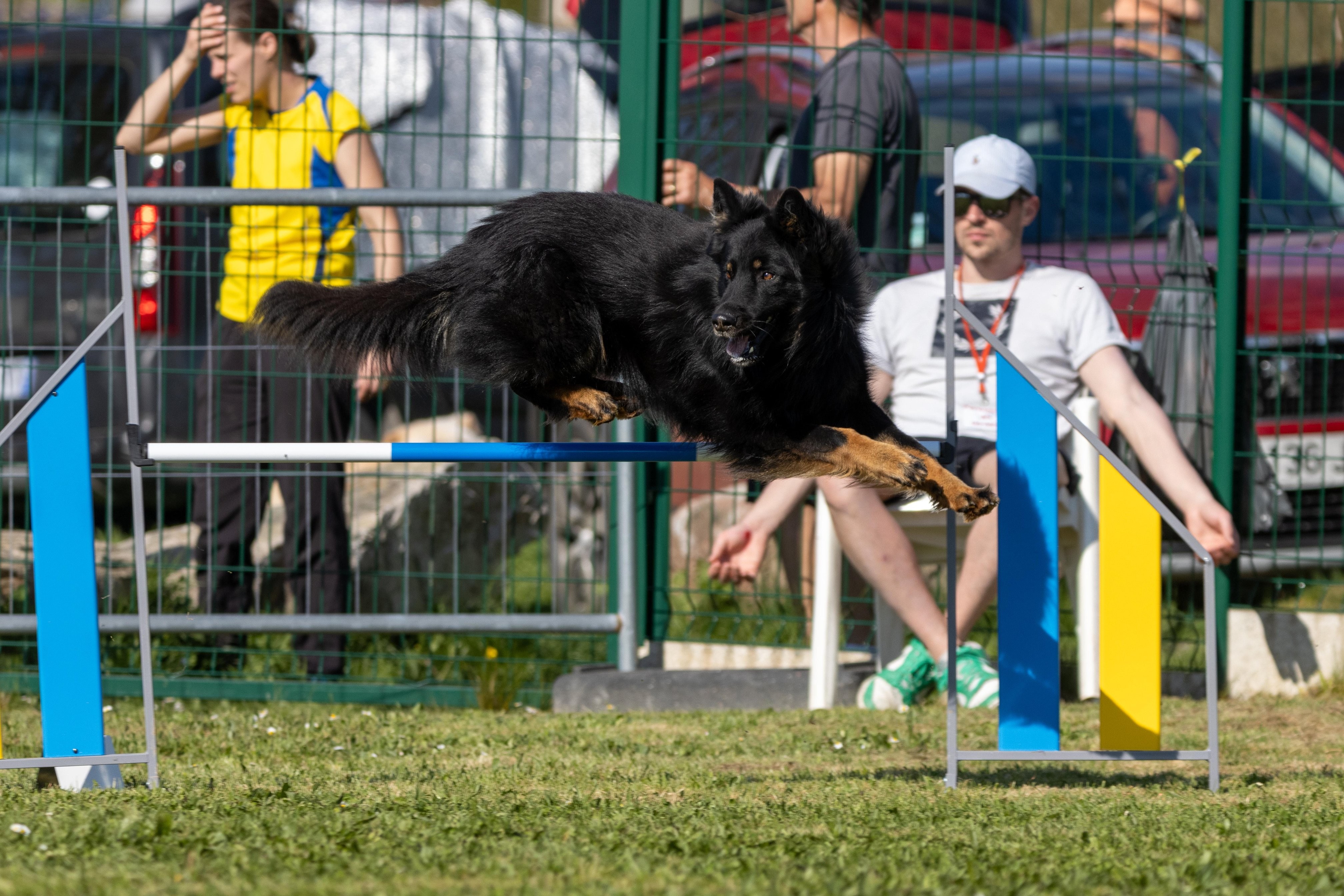 Jumping 2 etoile 0495